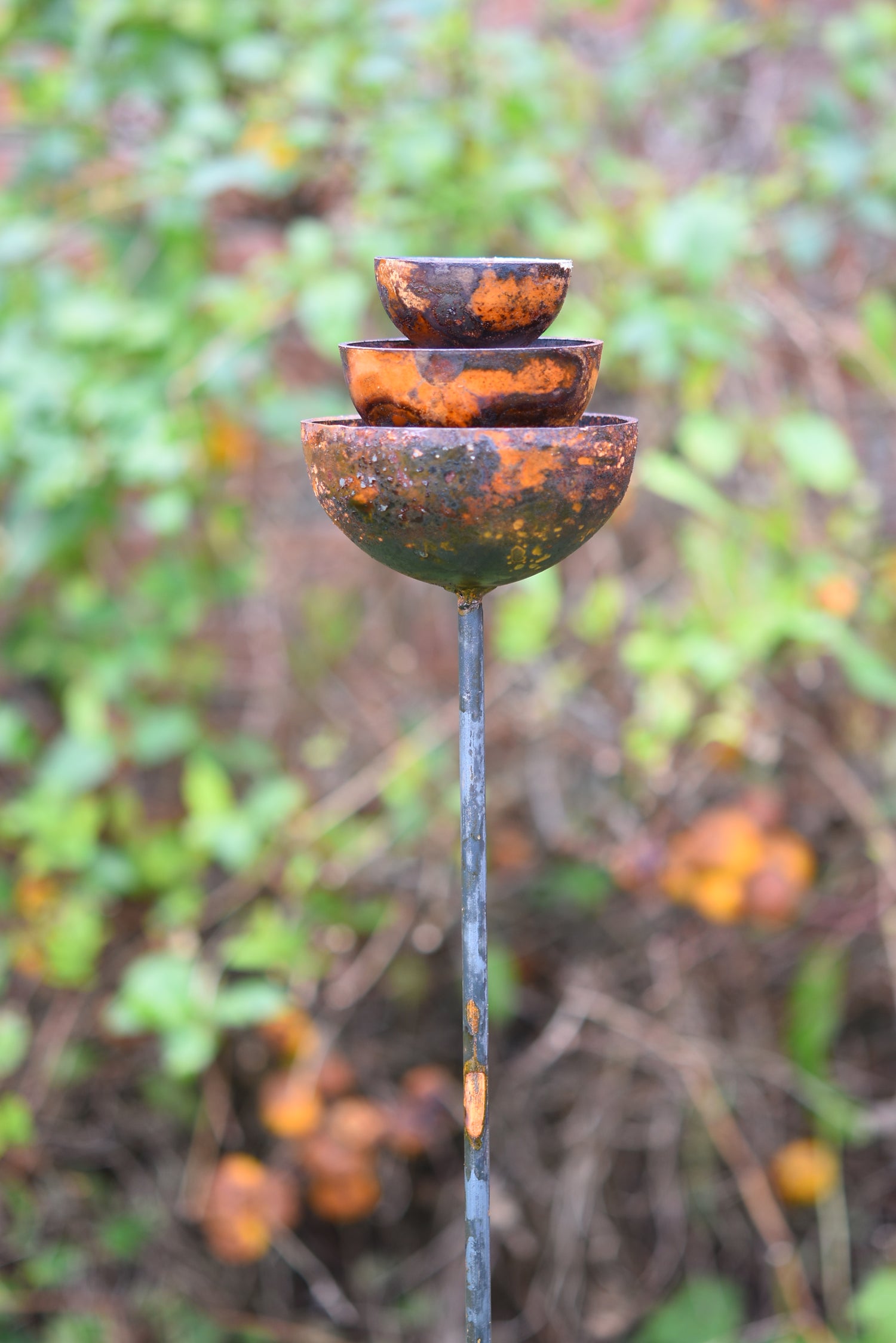 Rain Catcher Fountain Bundle
