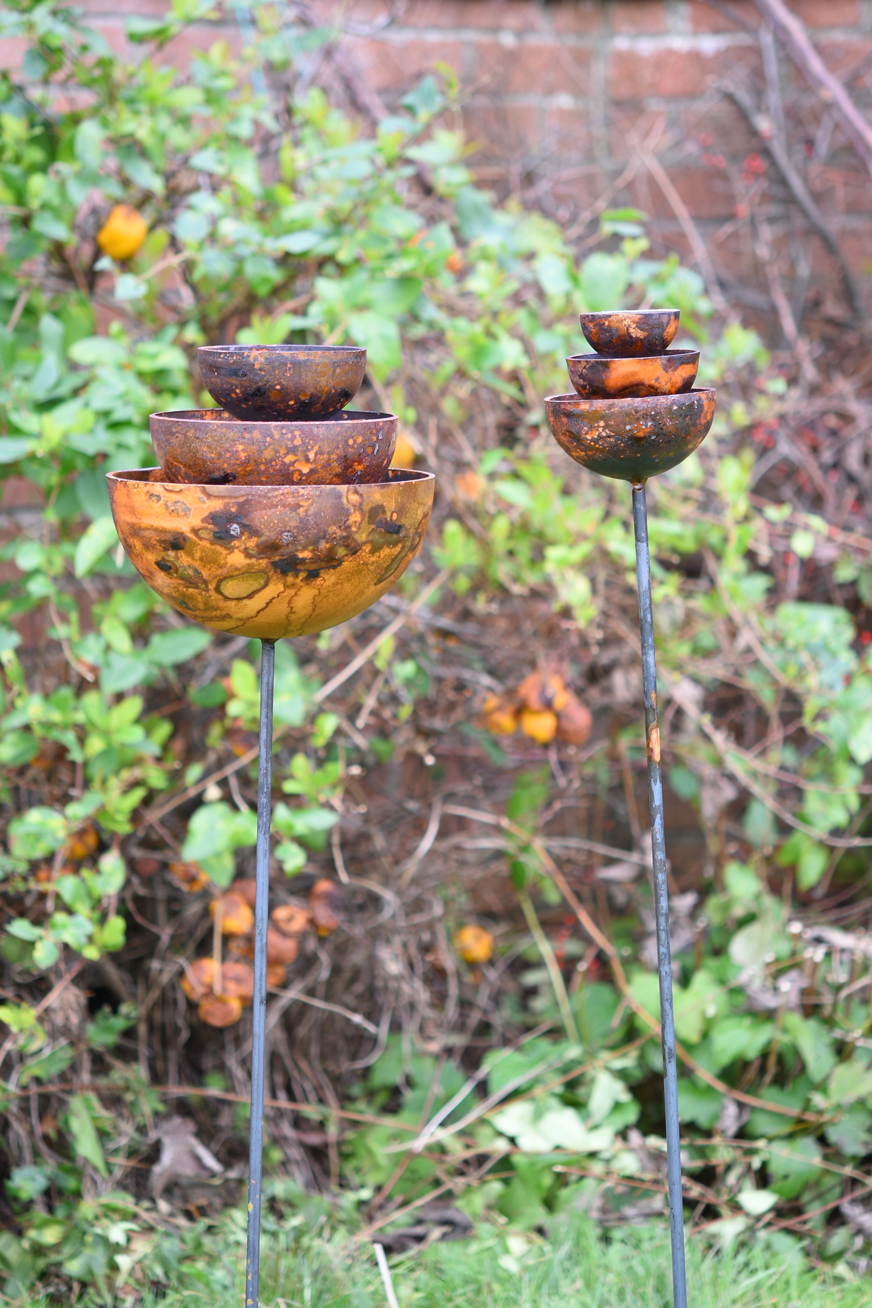 Rain Catcher Fountain Bundle