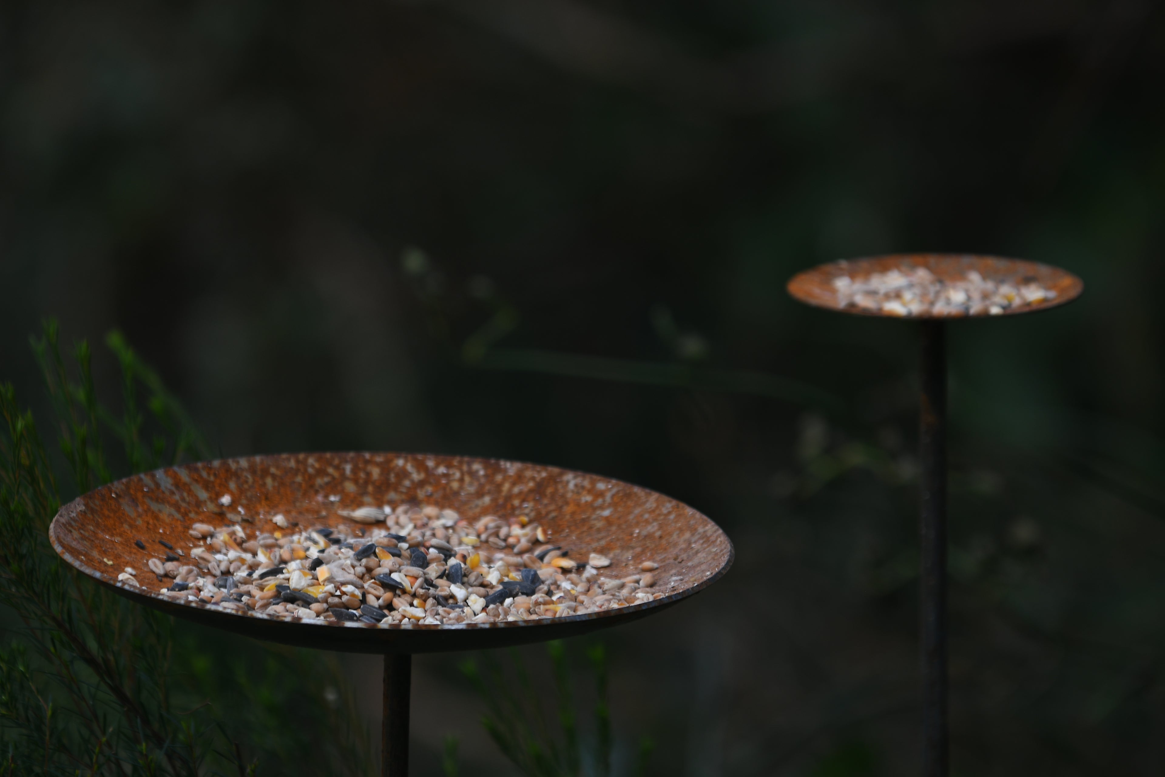 Metal Bird Feeding Platform