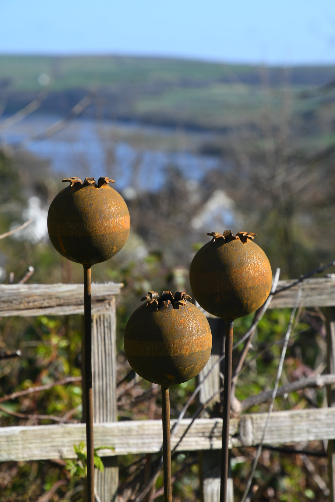 Rusty Metal Poppy Seedhead - Metal Garden Flower Sculpture - Garden Decor