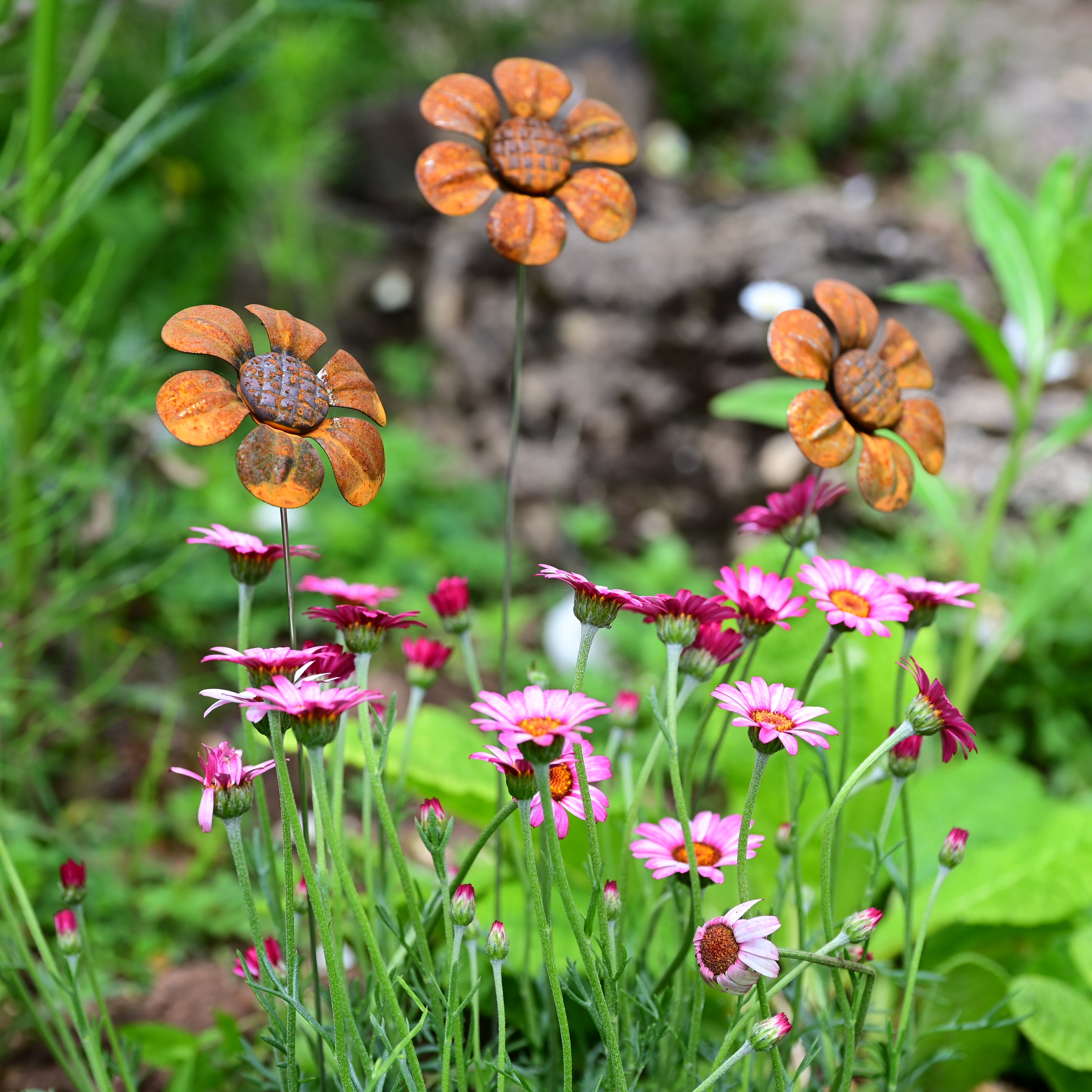 Rusty Metal Daisy