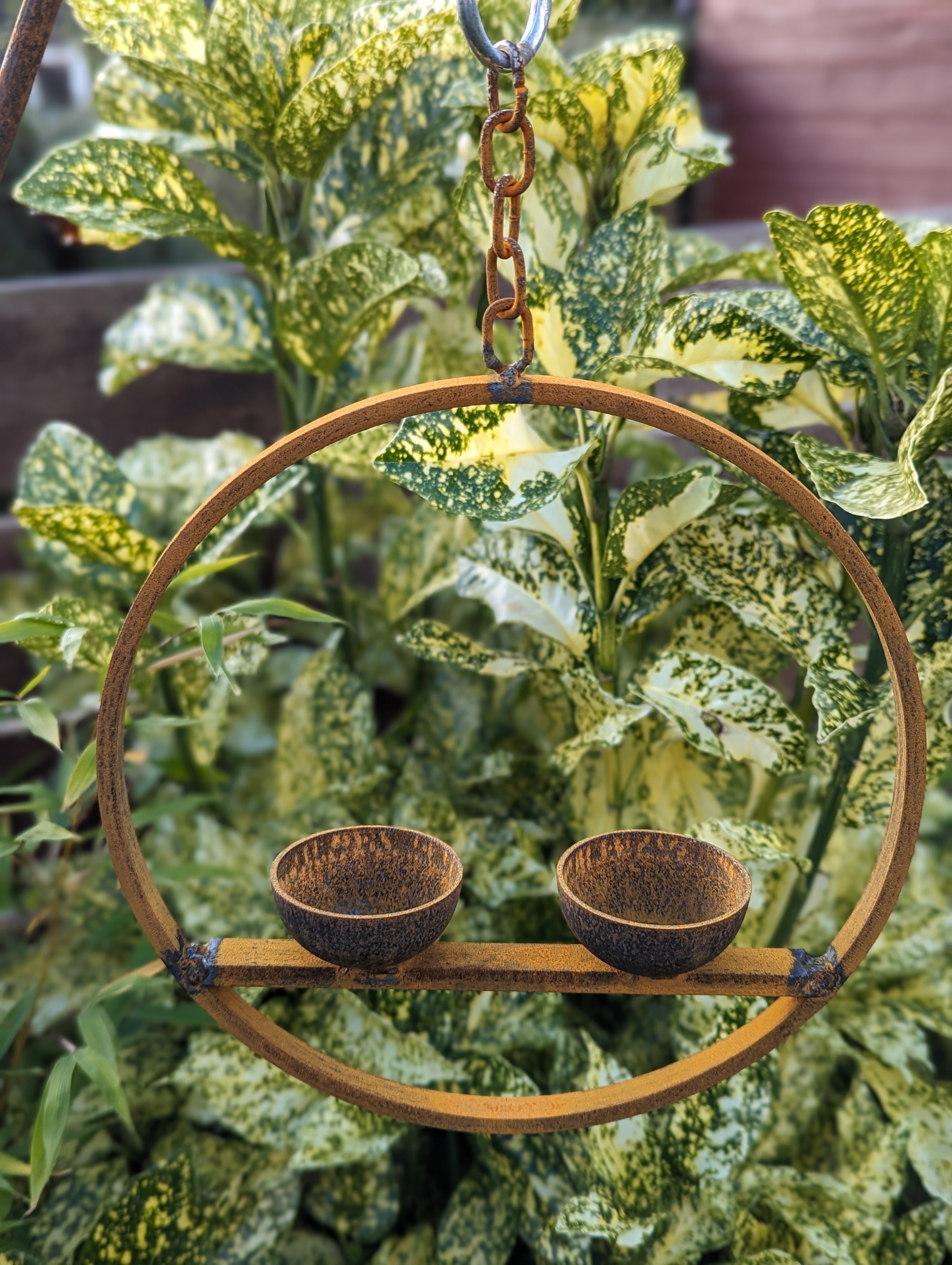 Large Hanging Bird Feeder Ring