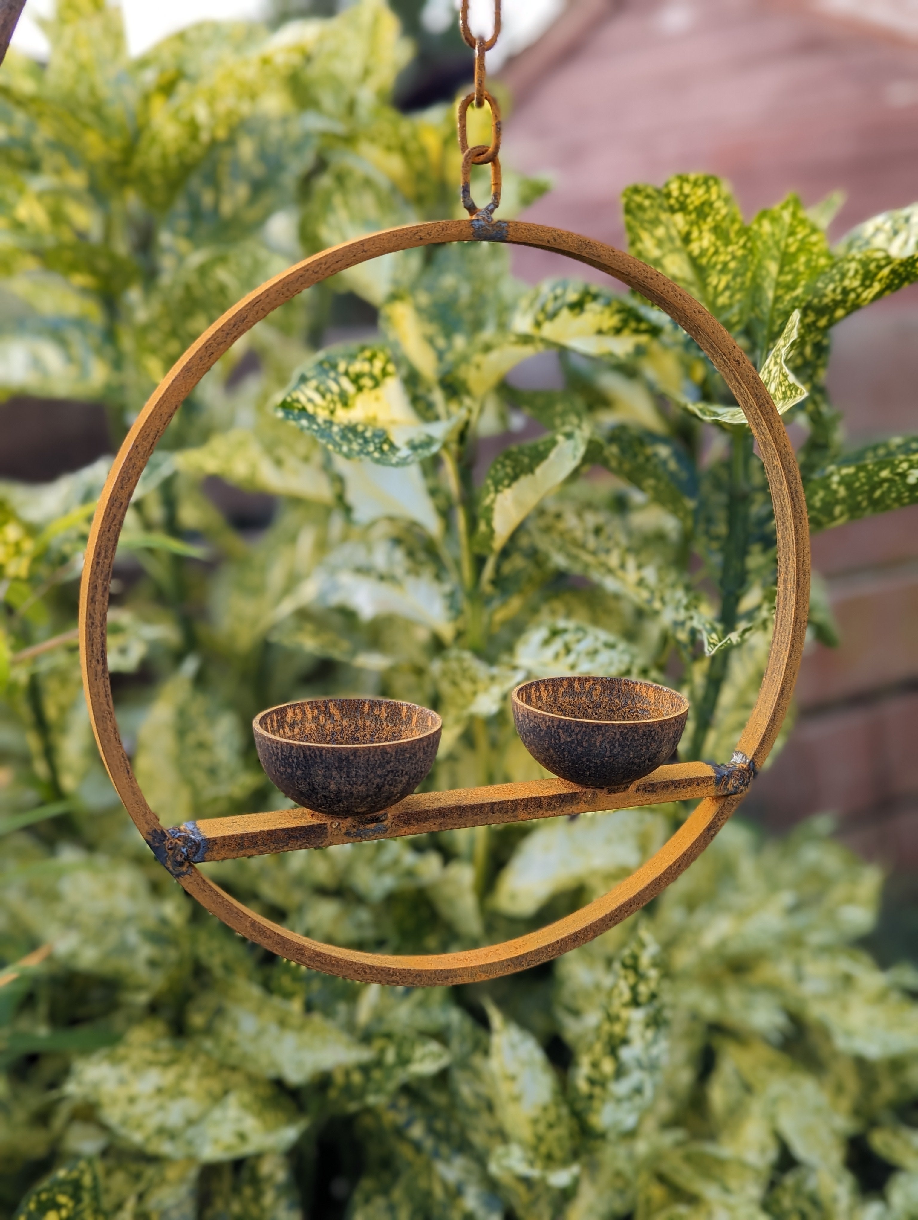 Large Hanging Bird Feeder Ring
