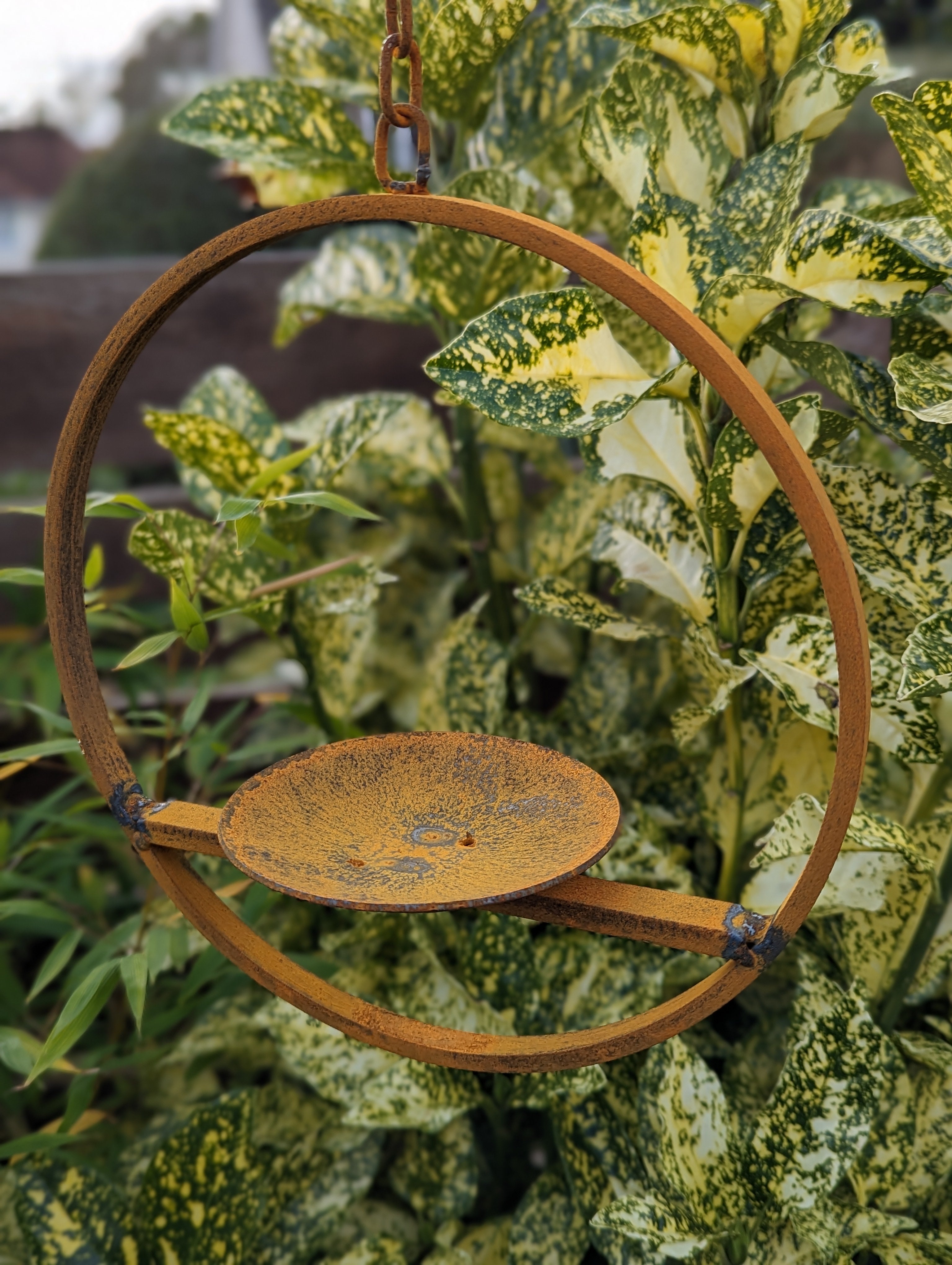 Hanging Bird Feeder Platform Ring