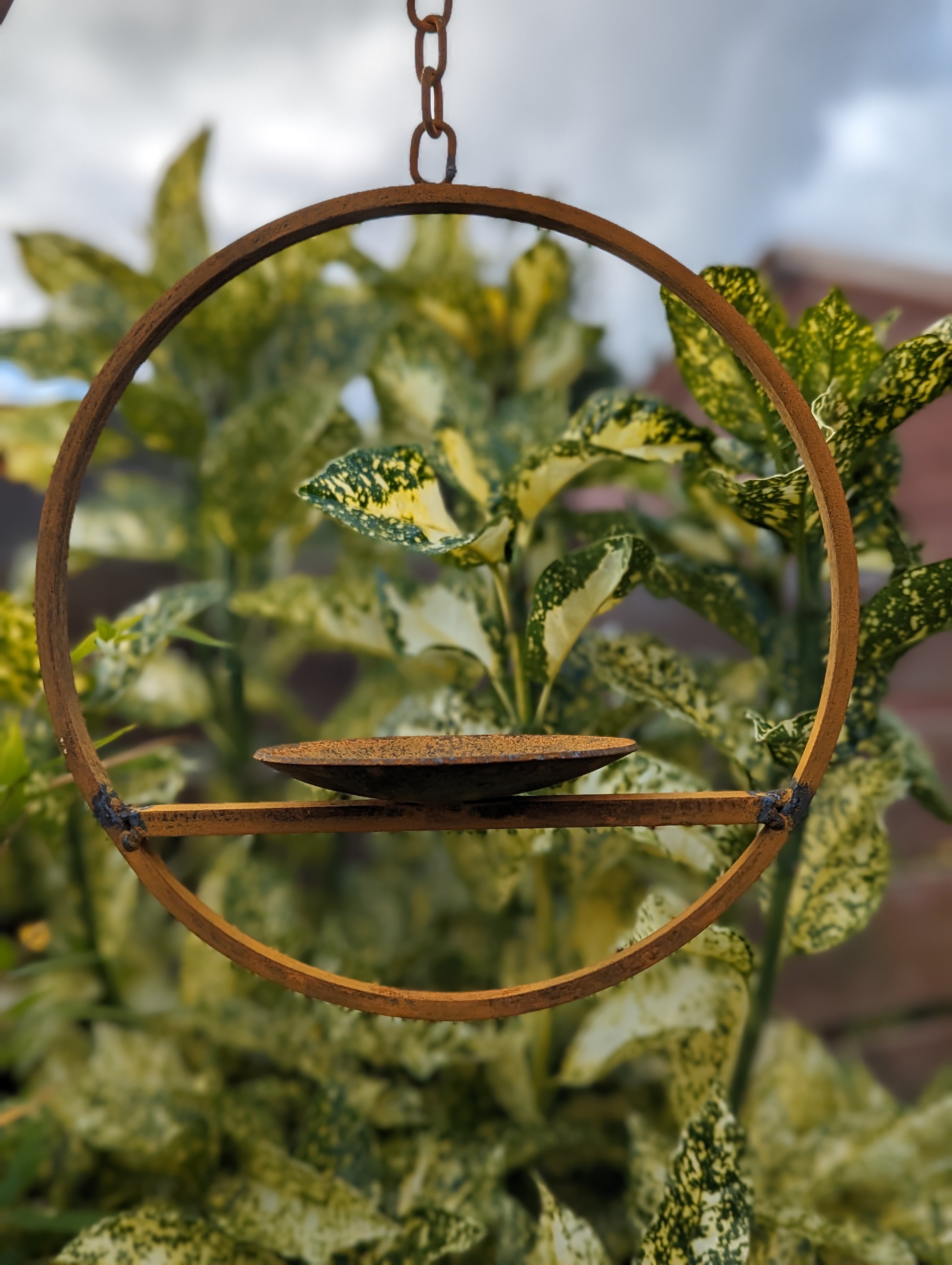 Hanging Bird Feeder Platform Ring