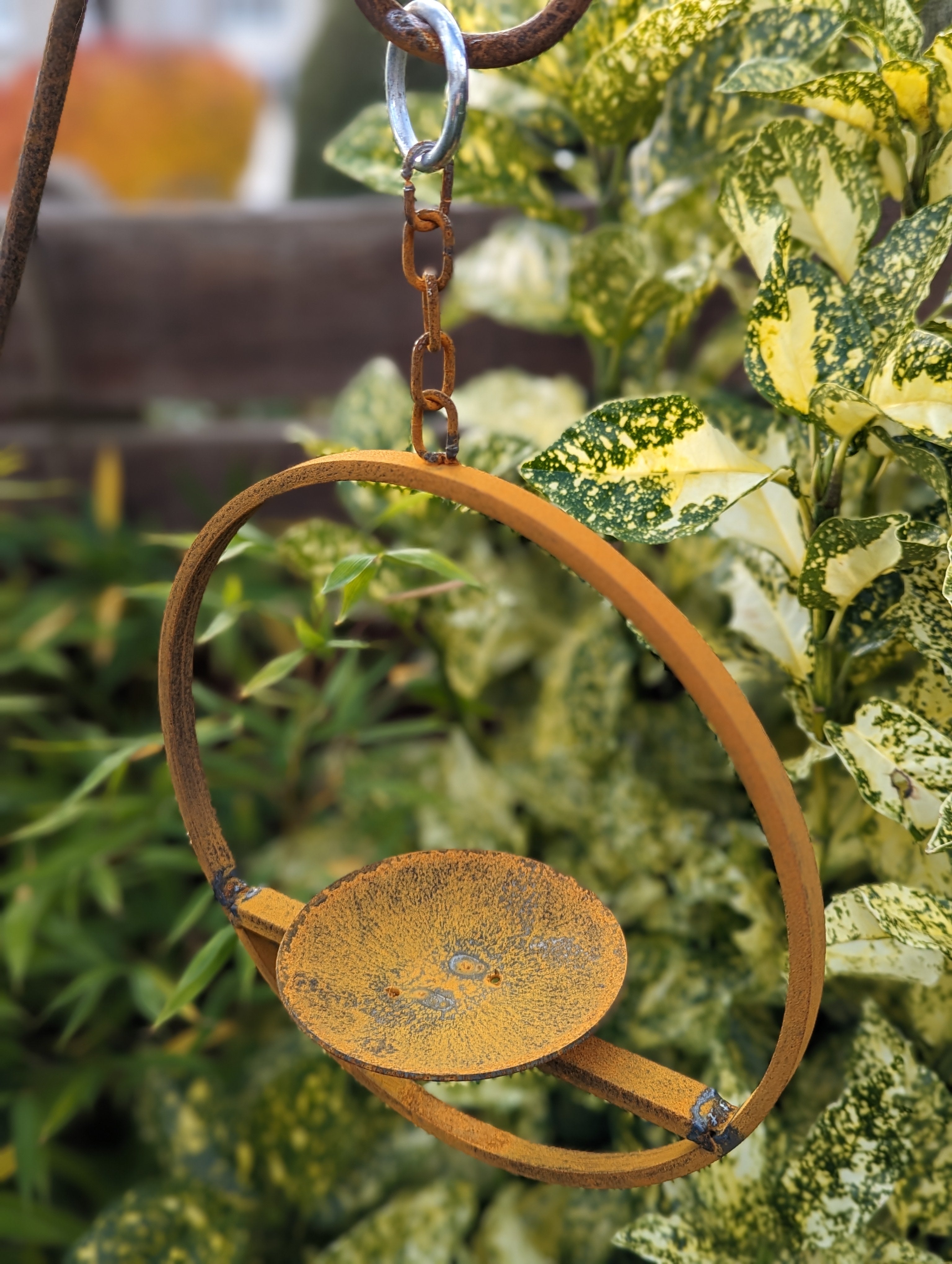 Hanging Bird Feeder Platform Ring