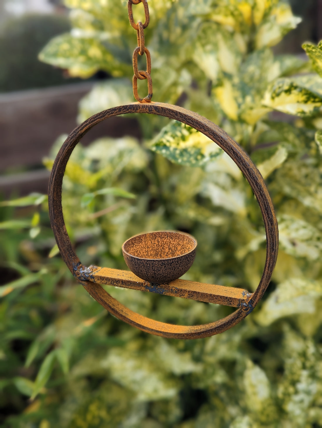 Hanging Bird Feeder
