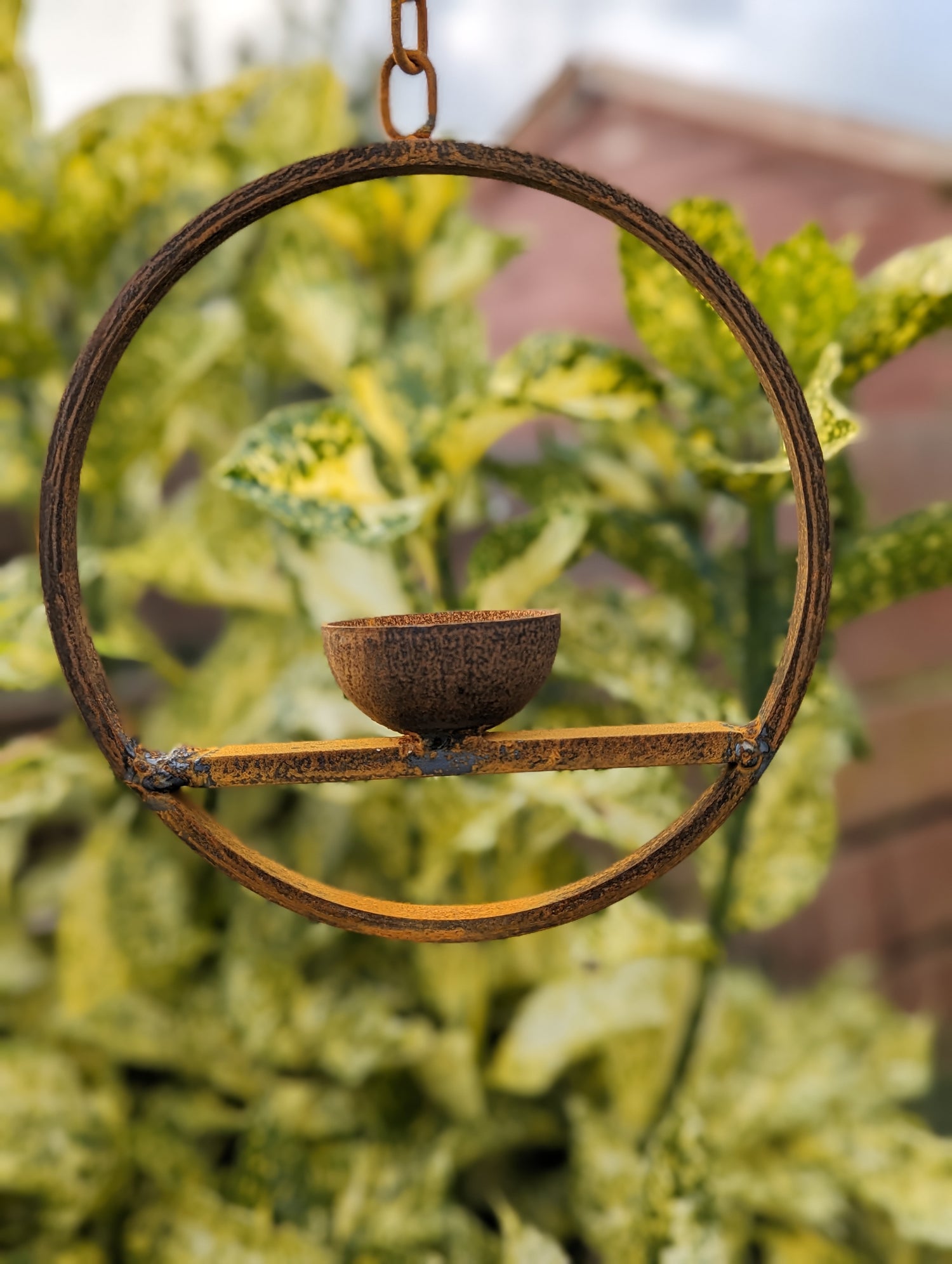 Hanging Bird Feeder