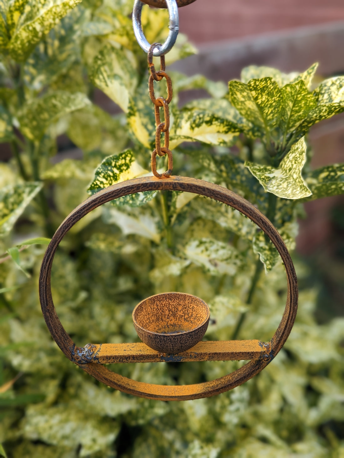 Hanging Bird Feeder