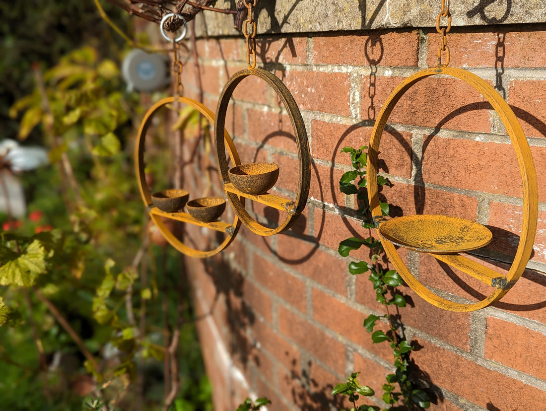 Hanging Bird Feeder Trio