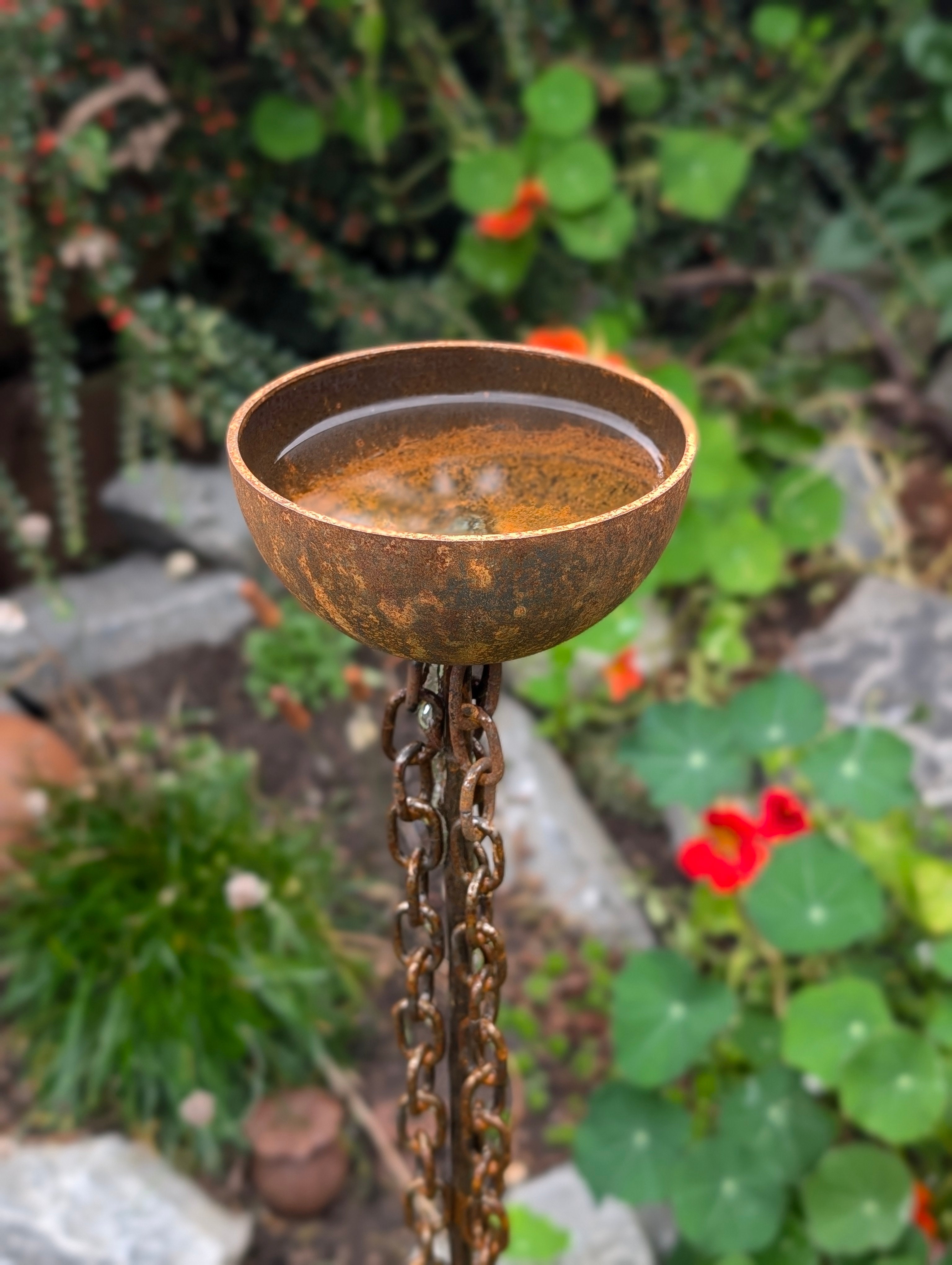 Rain Catcher Drip Chain