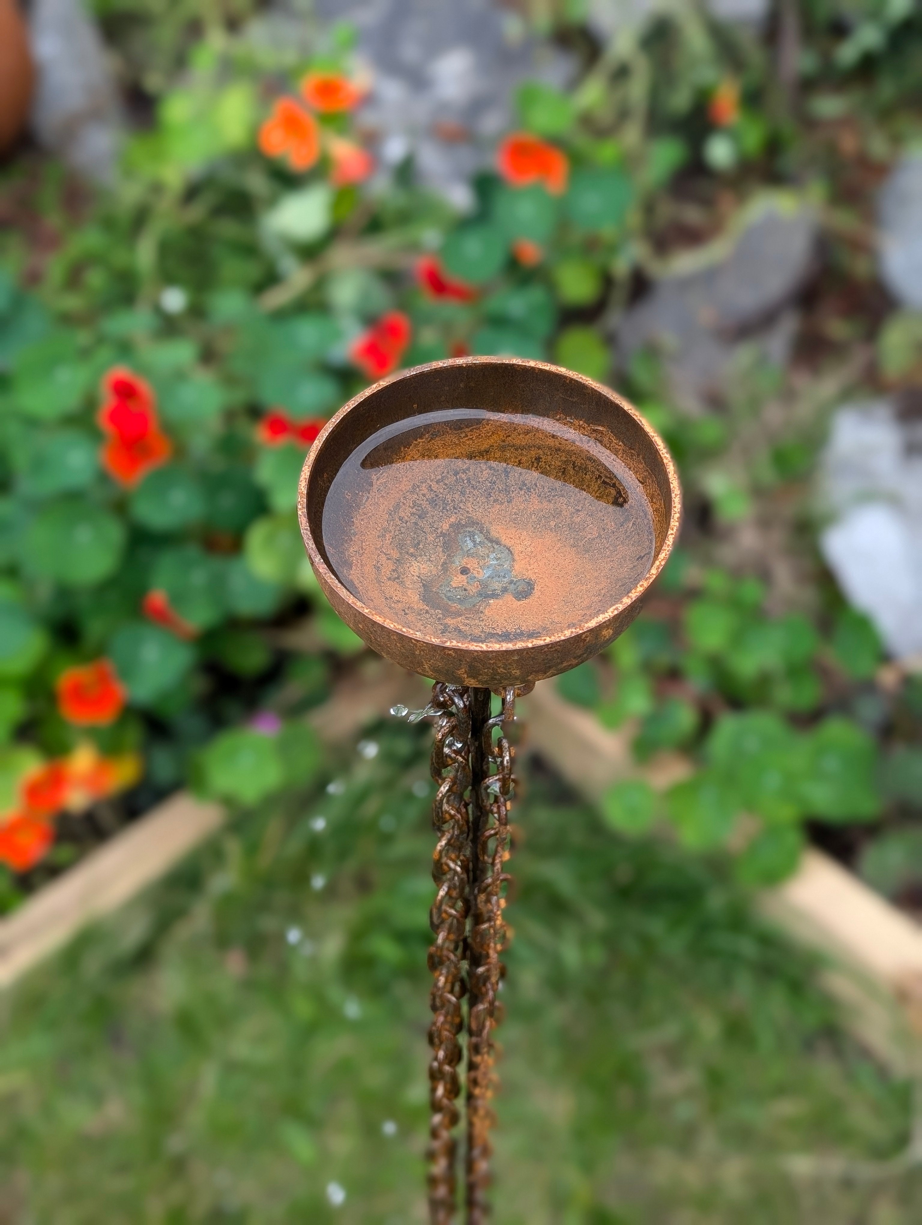 Rain Catcher Drip Chain