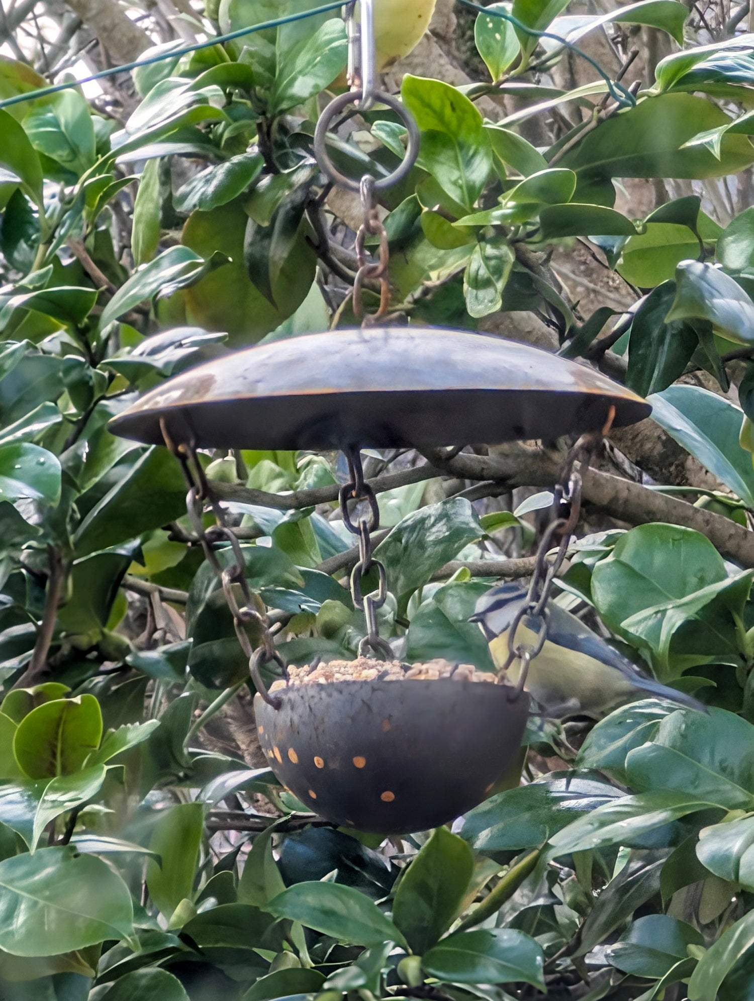 Chain Hanging Bird Feeder