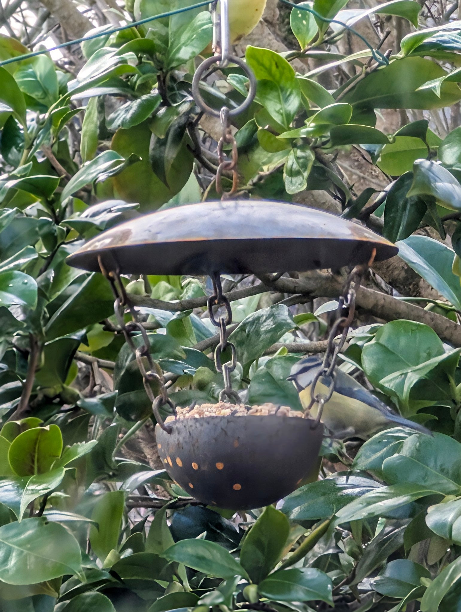 Chain Hanging Bird Feeder