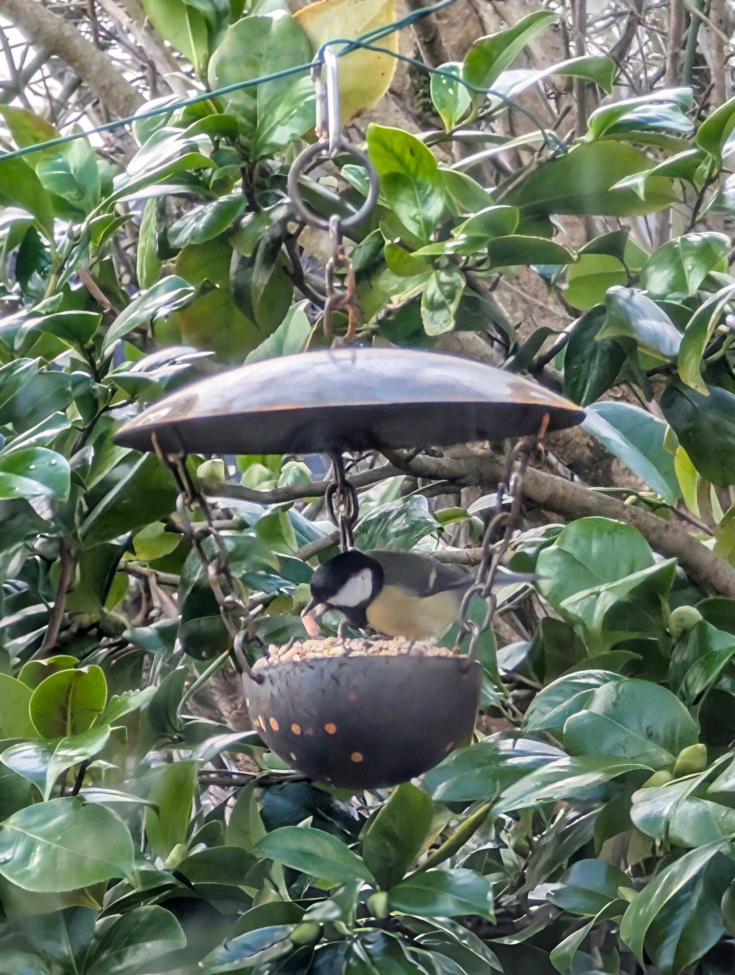 Chain Hanging Bird Feeder