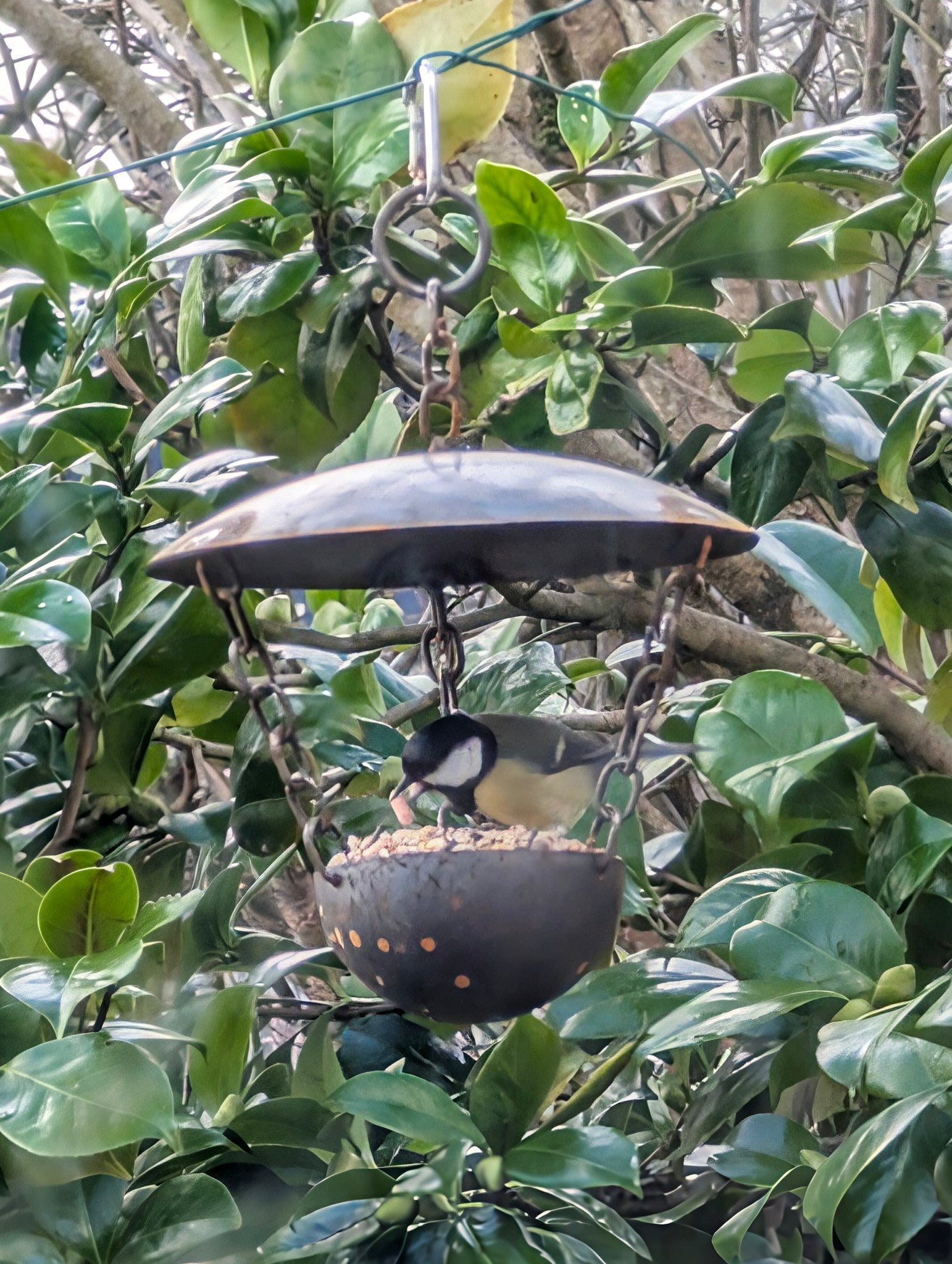 Chain Hanging Bird Feeder