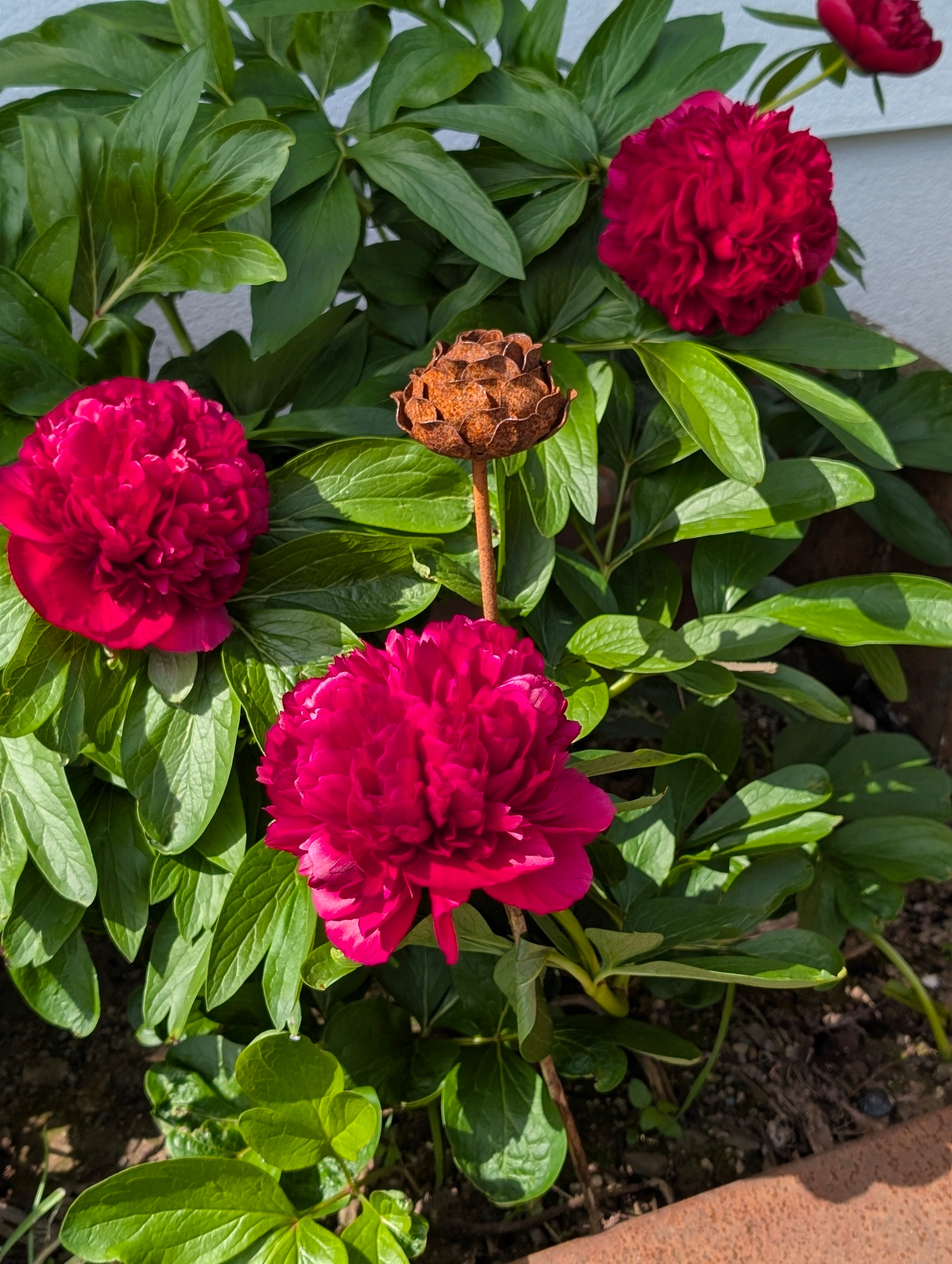 Metal Peony