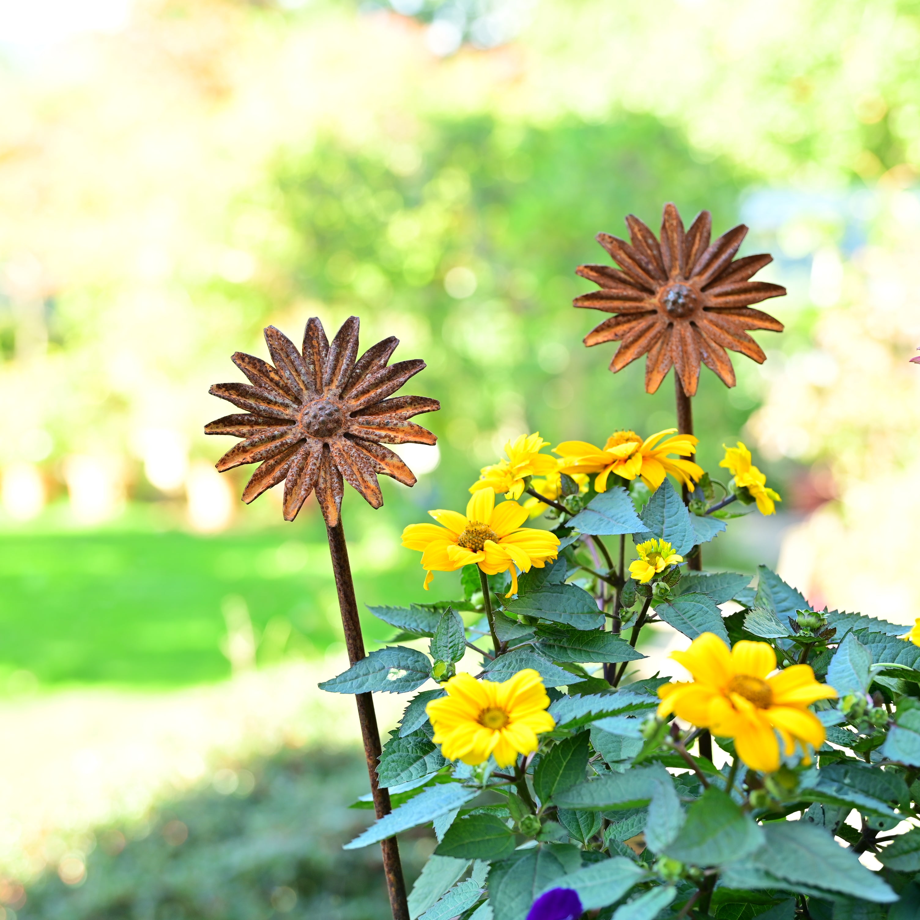 Rusty Metal Flower Garden Sculptures