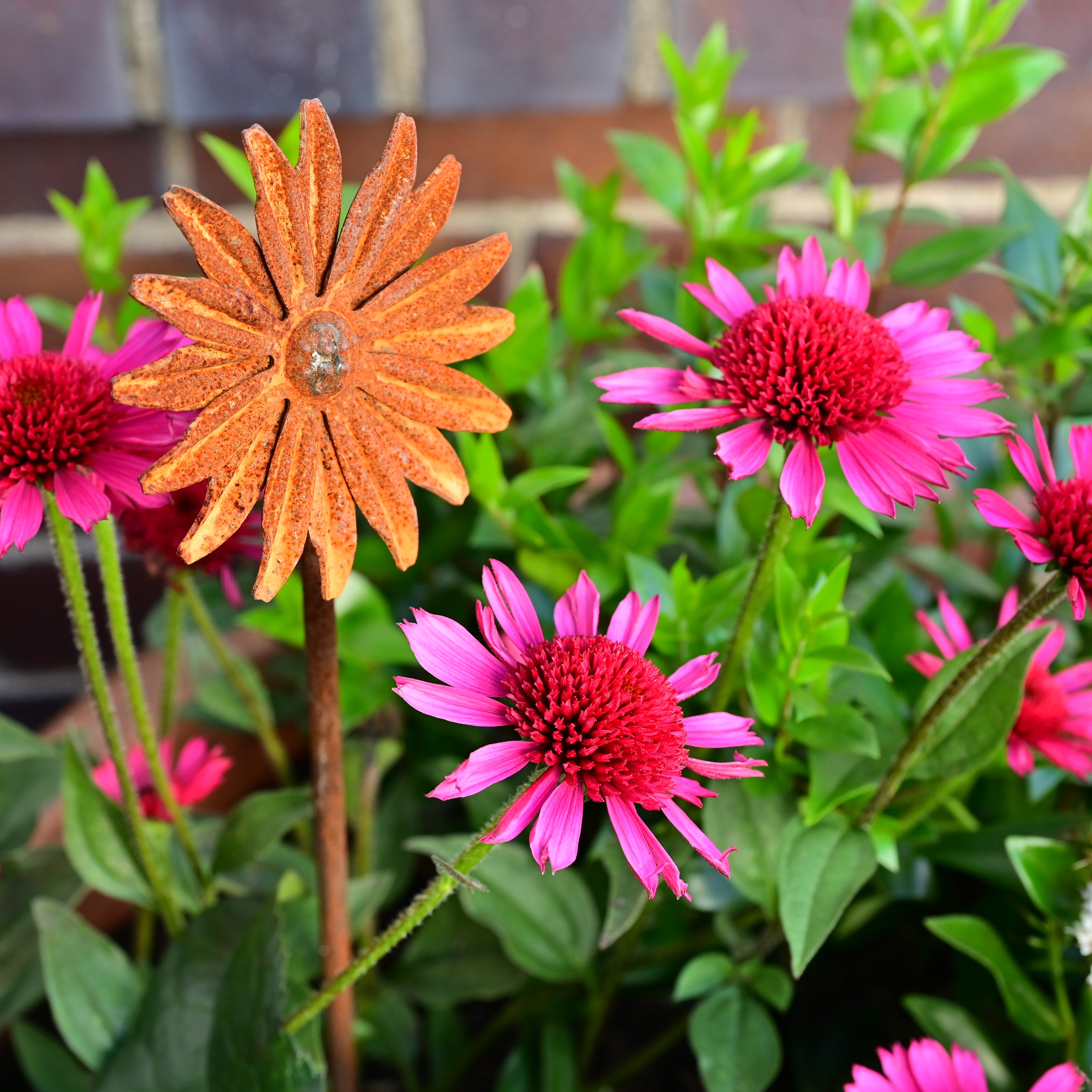 Rusty Metal Flower