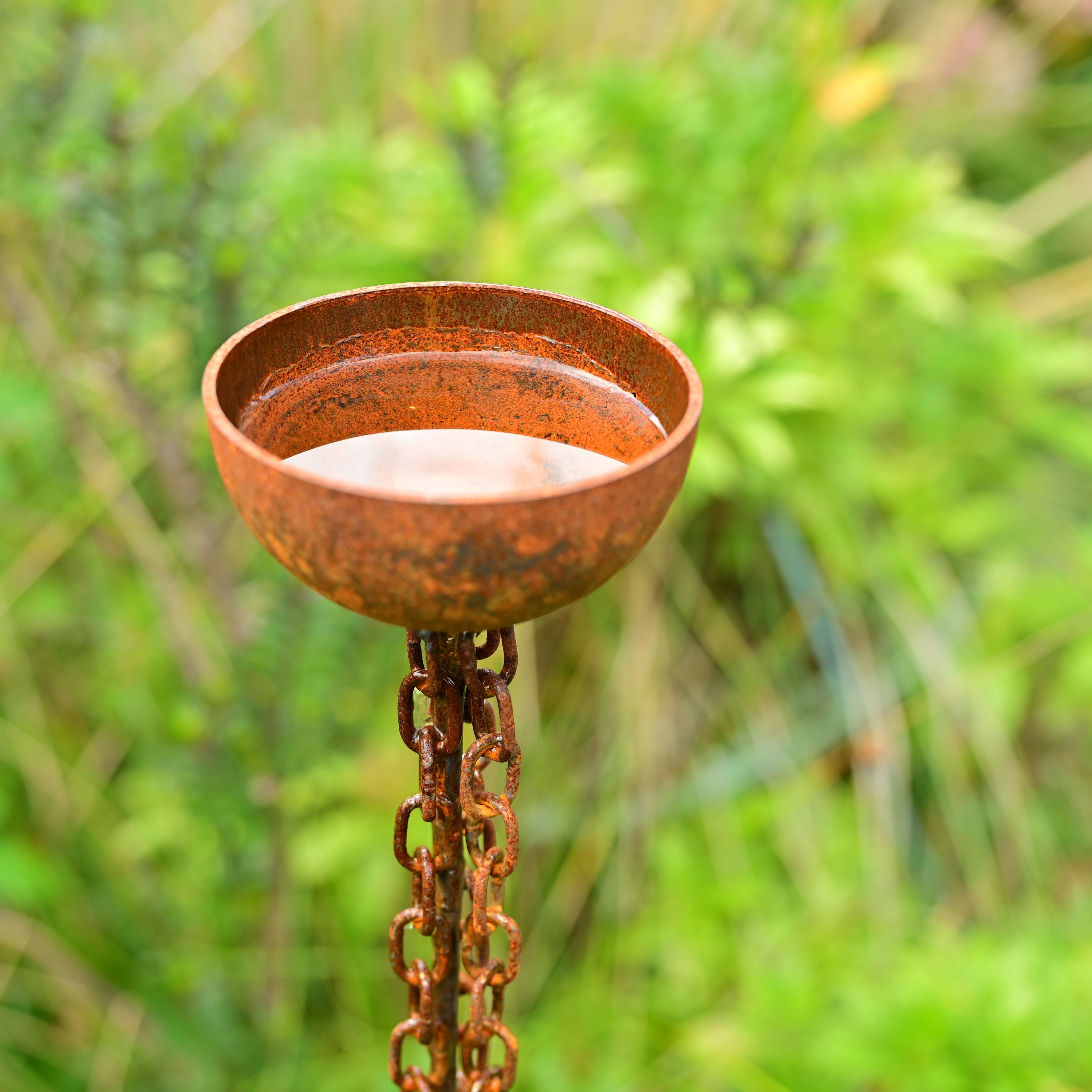 Rain Catcher Drip Chain