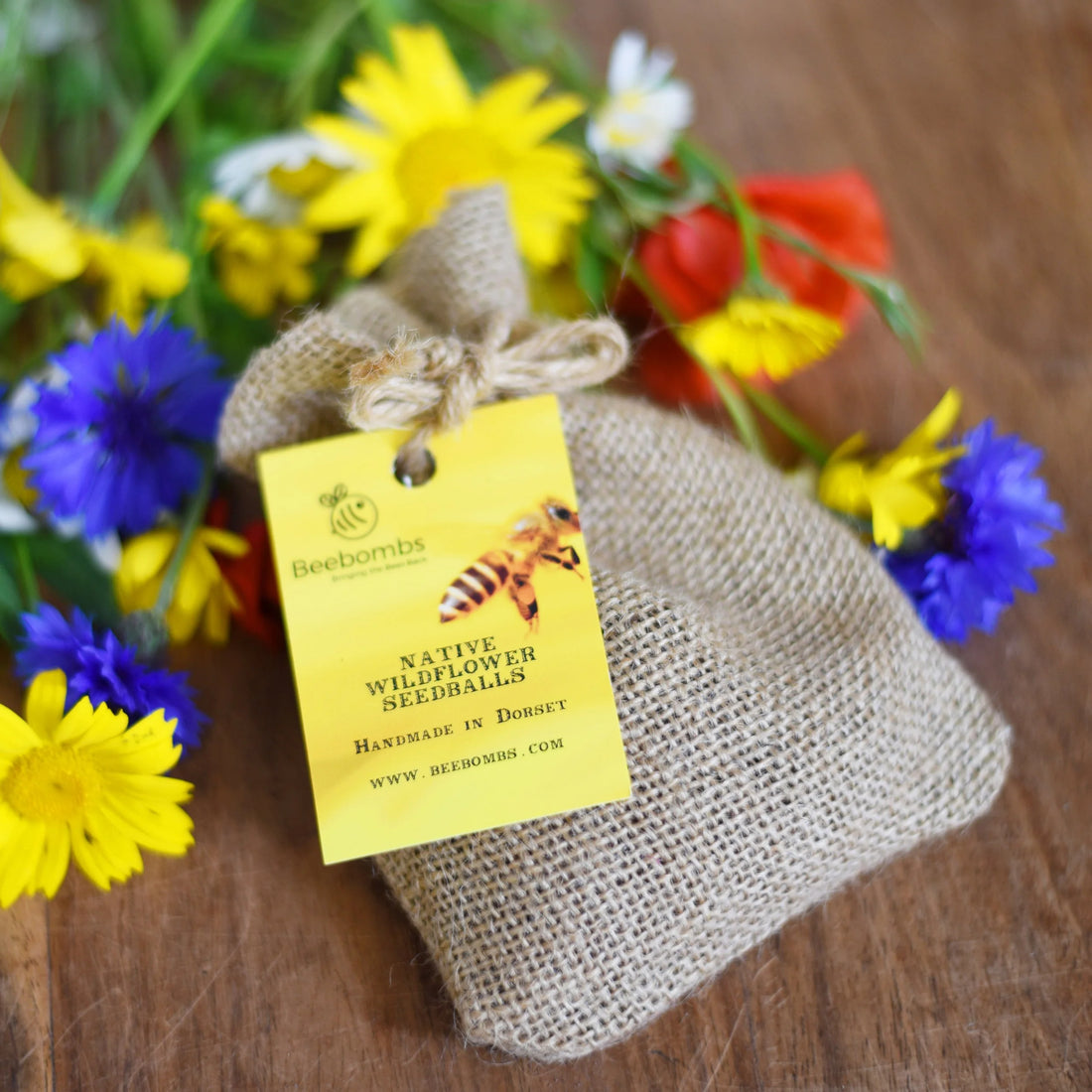 Bee Bombs – 1 Pack of Native Wildflower Seed Bee Bombs for Bees