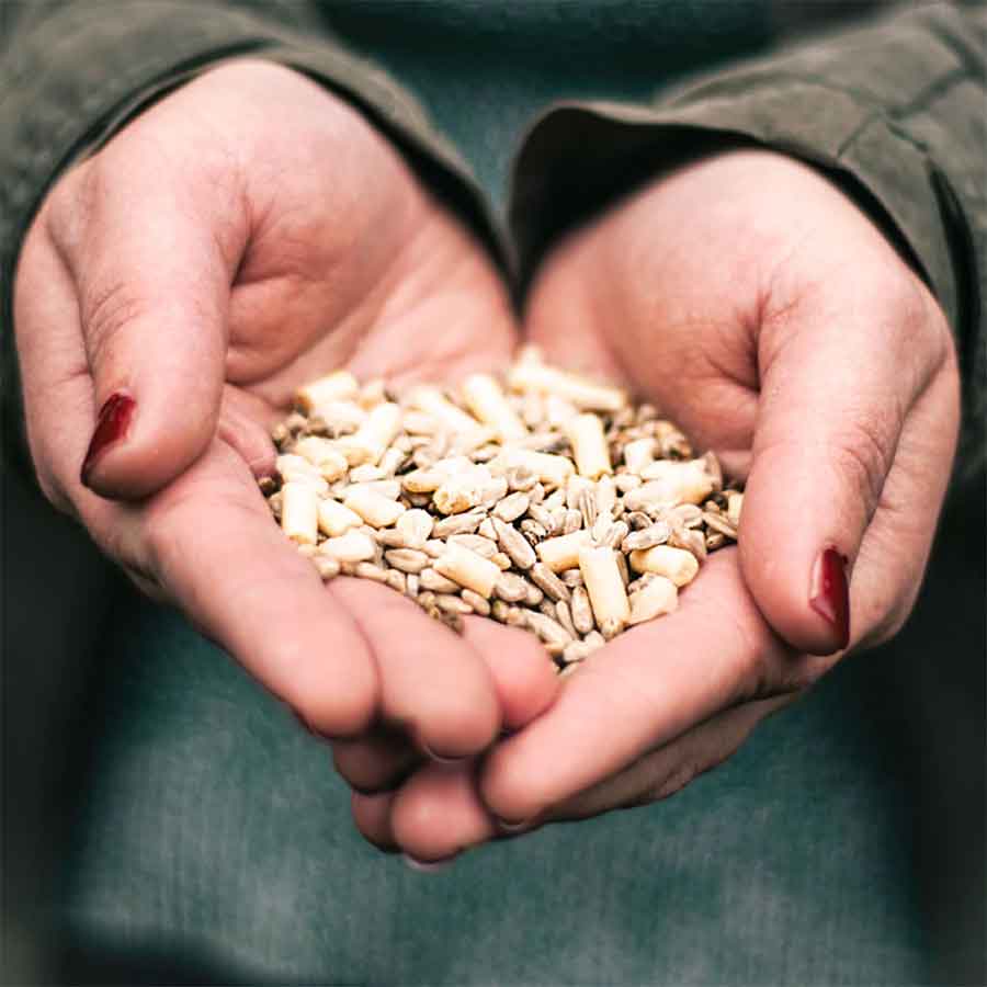 A Little Bird Co Bird Food