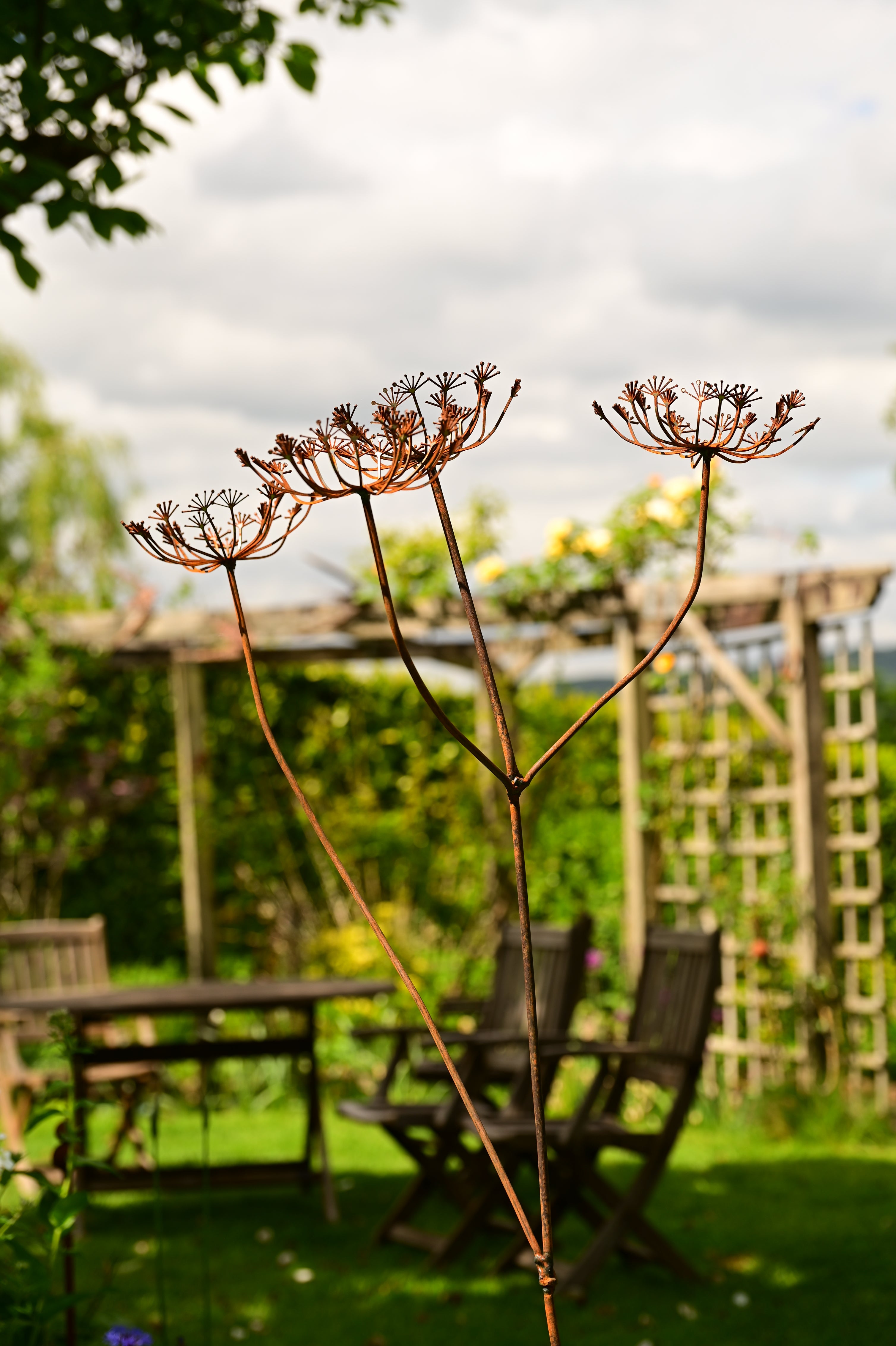 Rusty Metal Cow Parsley