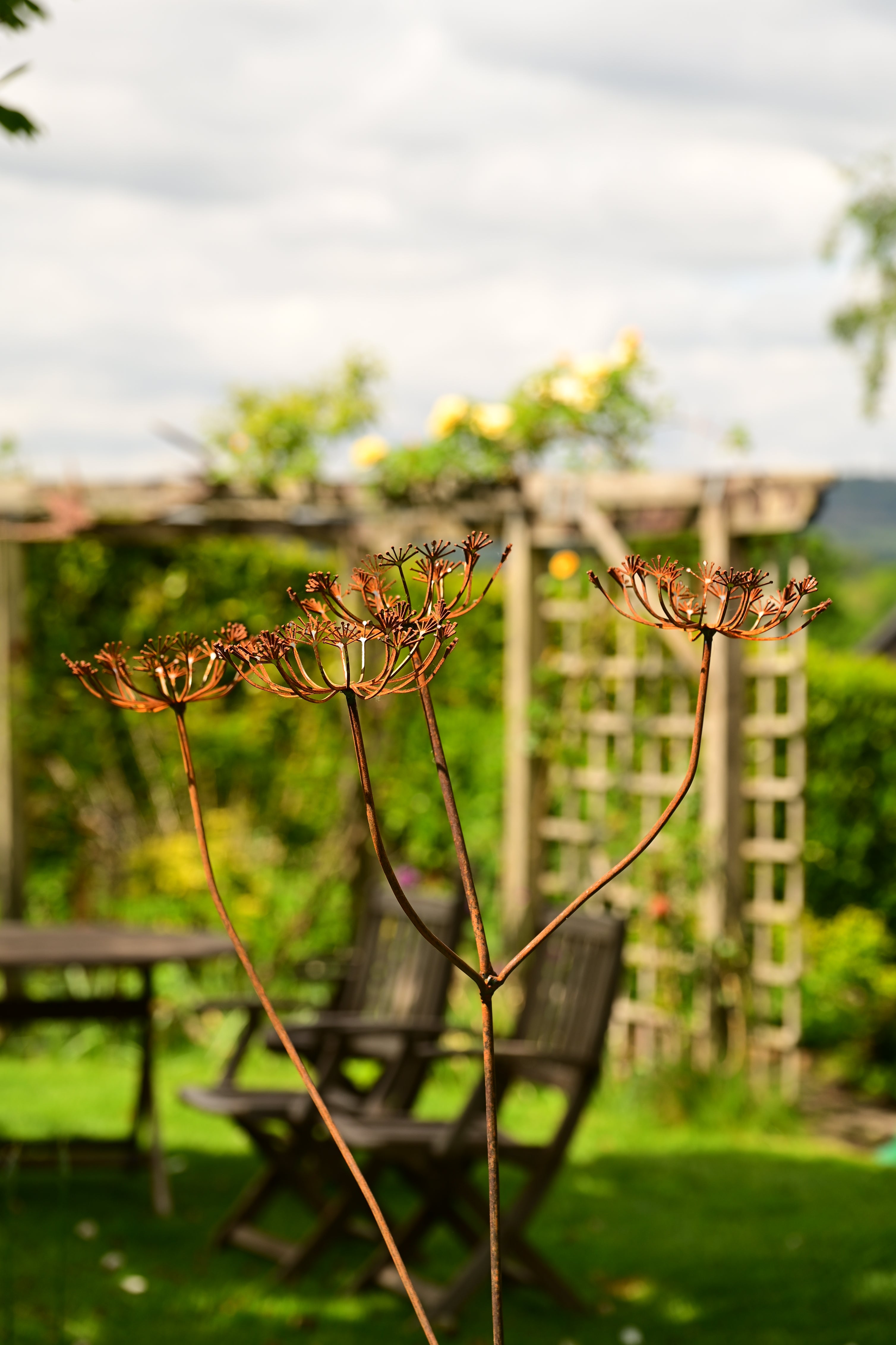 Rusty Metal Cow Parsley
