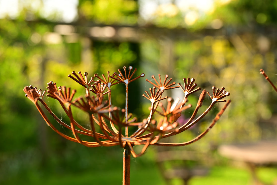 Rusty Metal Cow Parsley