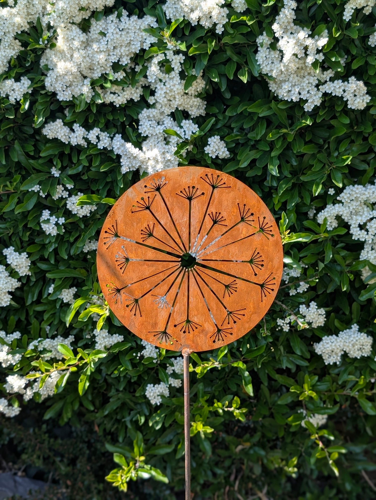 rusty allium stake