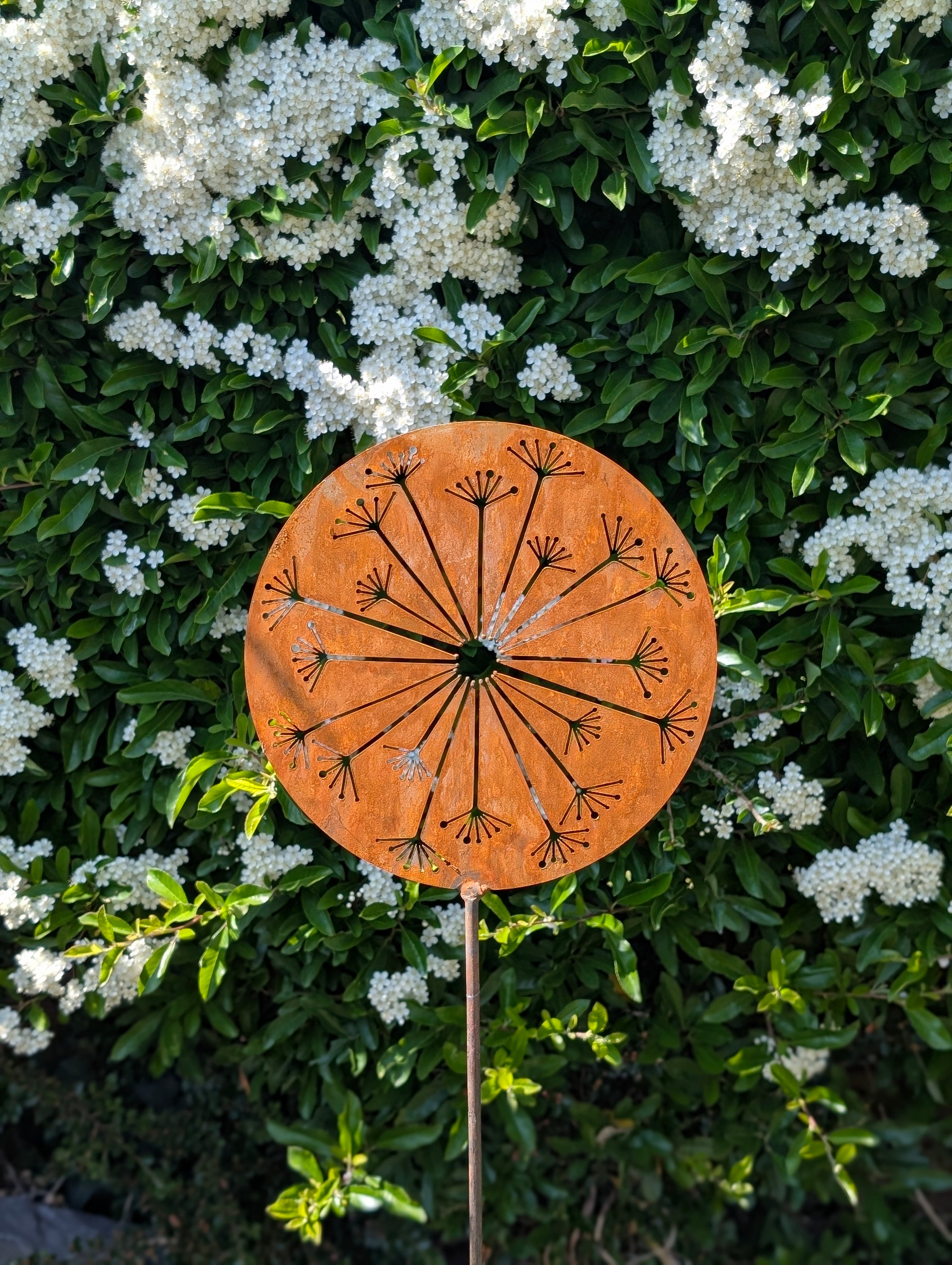 rusty allium stake
