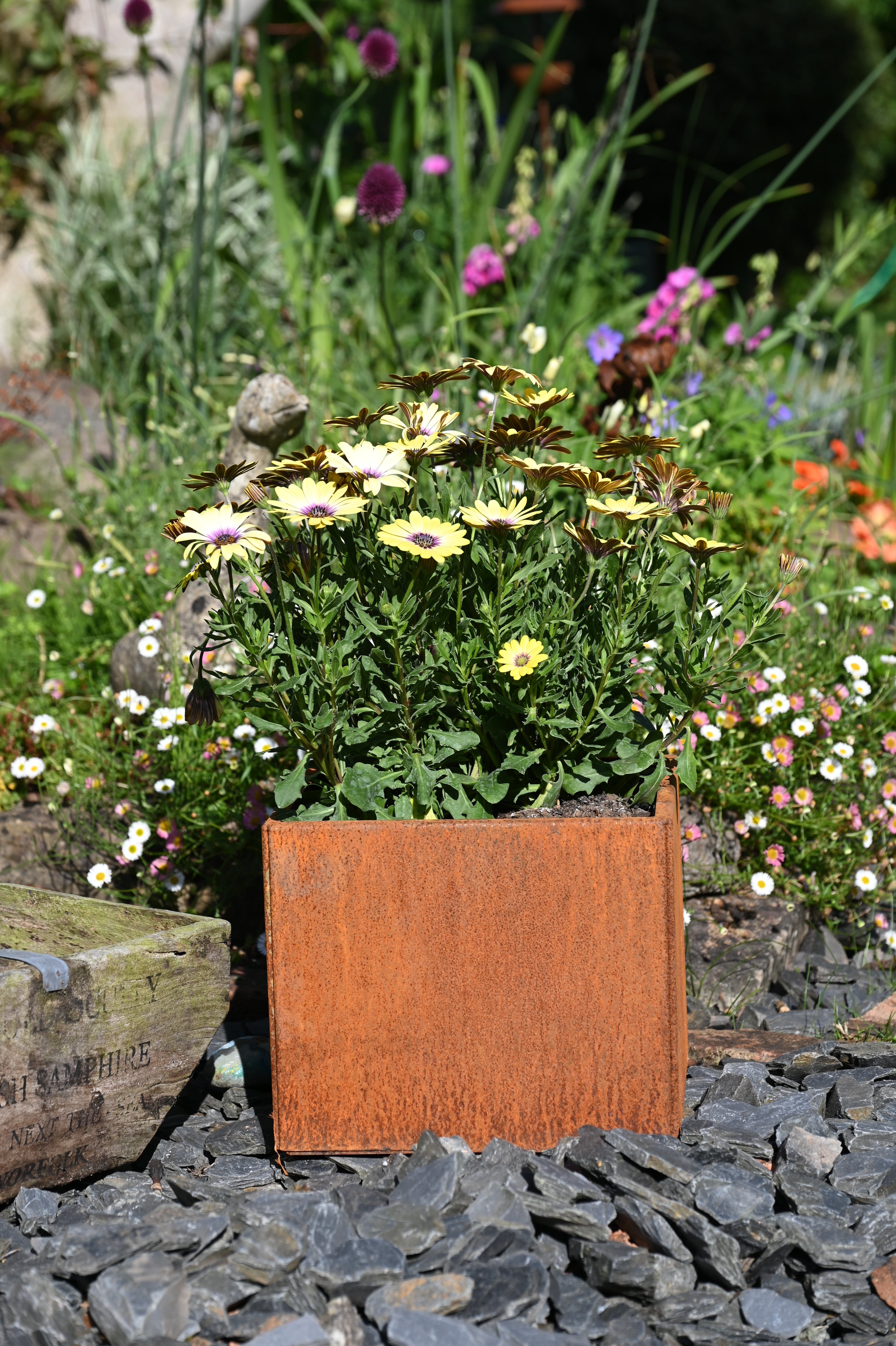 rusty plant pot