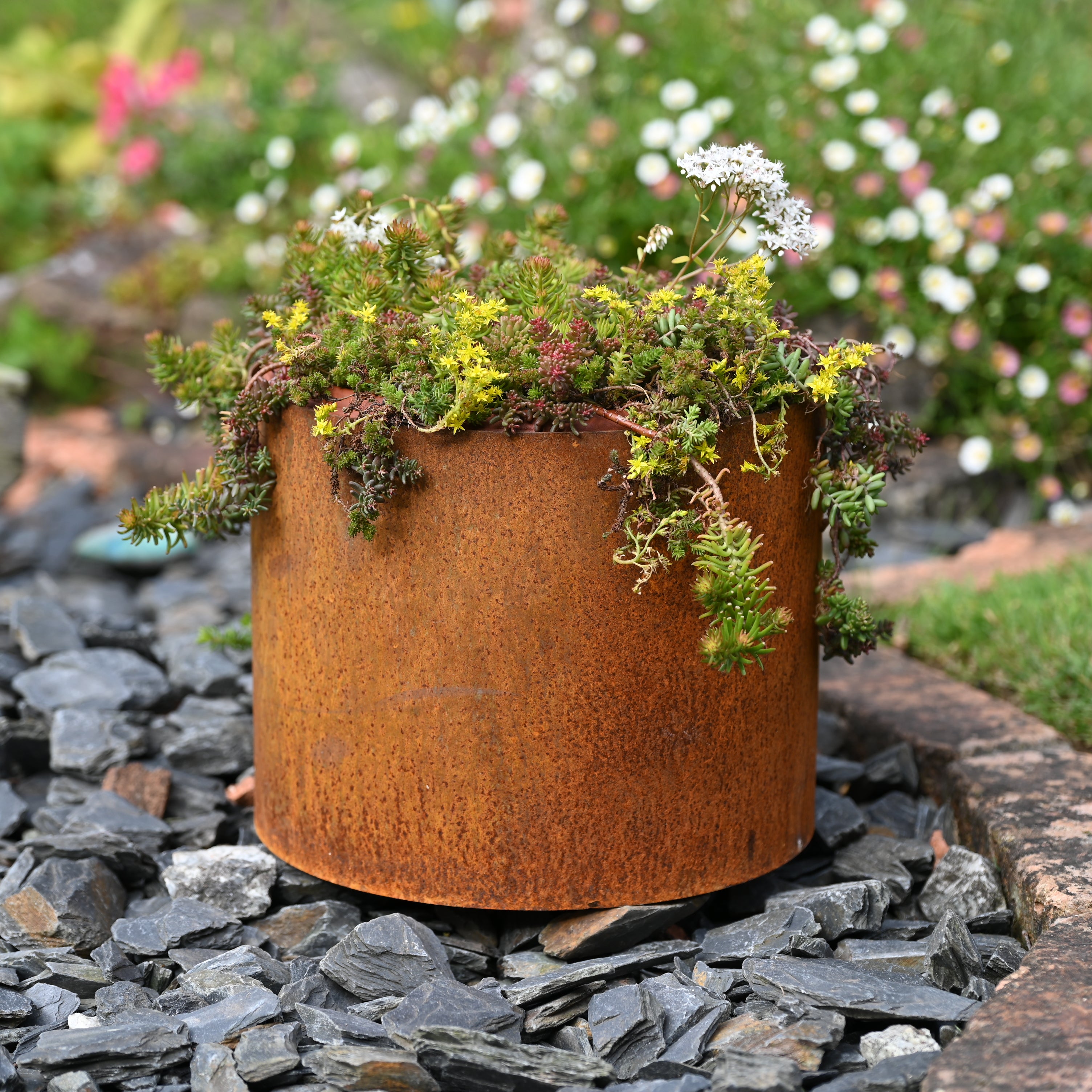 rusty plant pot 5L