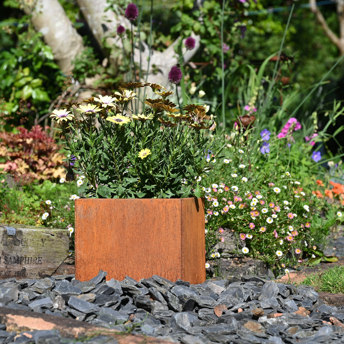 rusty square metal plant pot