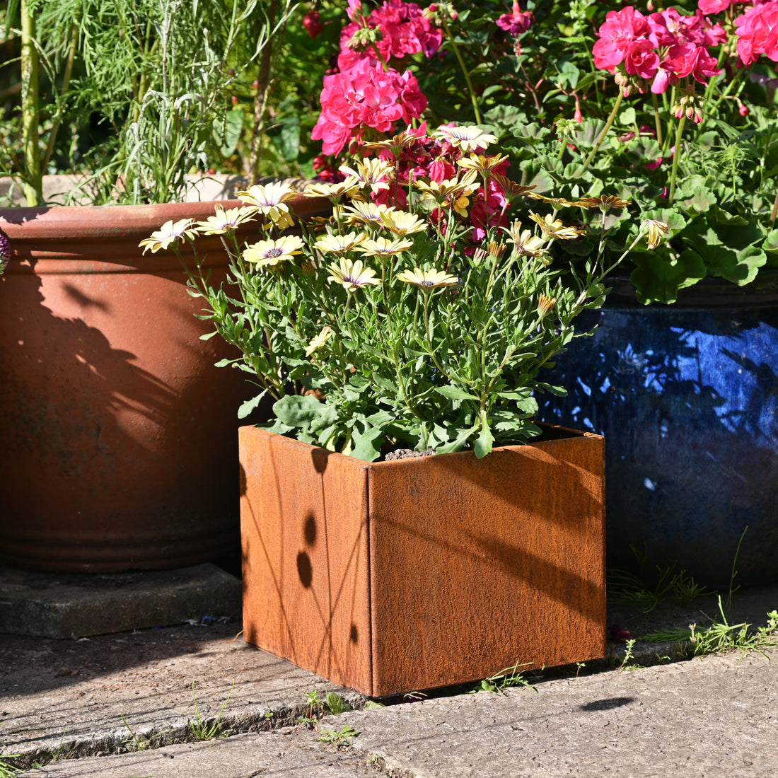 square metal plant pot