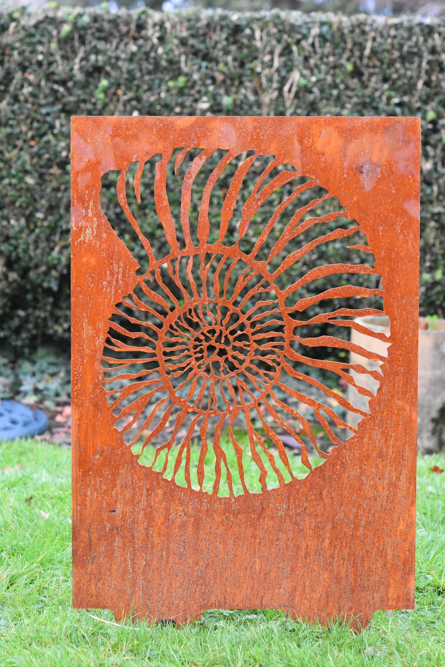 Ammonite Fossil Garden Ornament