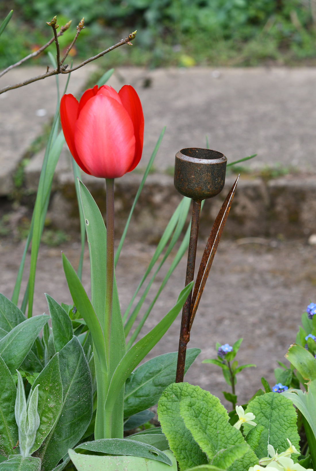 Rusty Metal Tulip