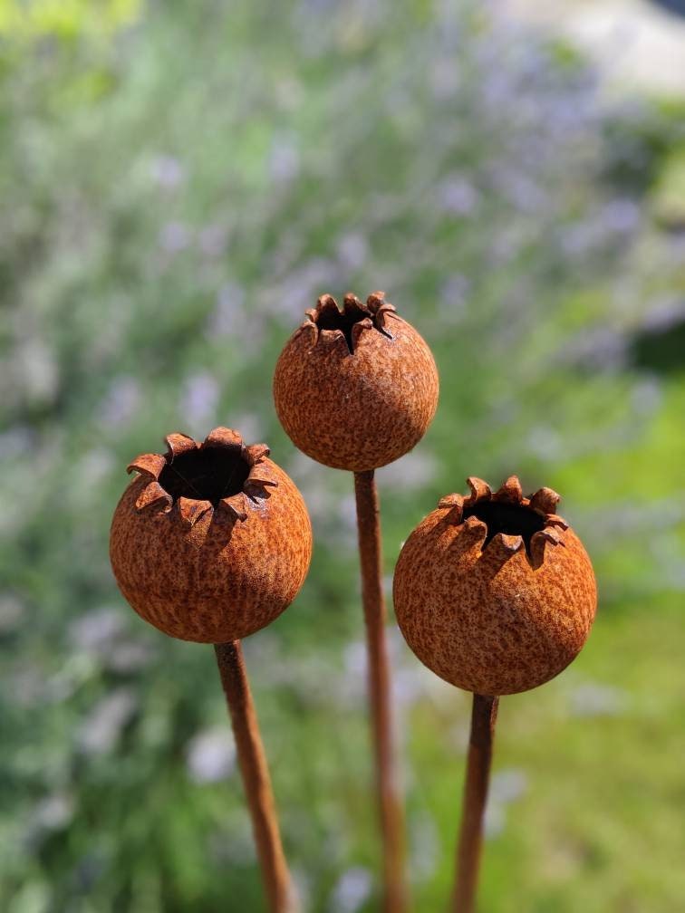 Rusty Metal Poppy Seedhead - Metal Garden Flower Sculpture - Garden Decor