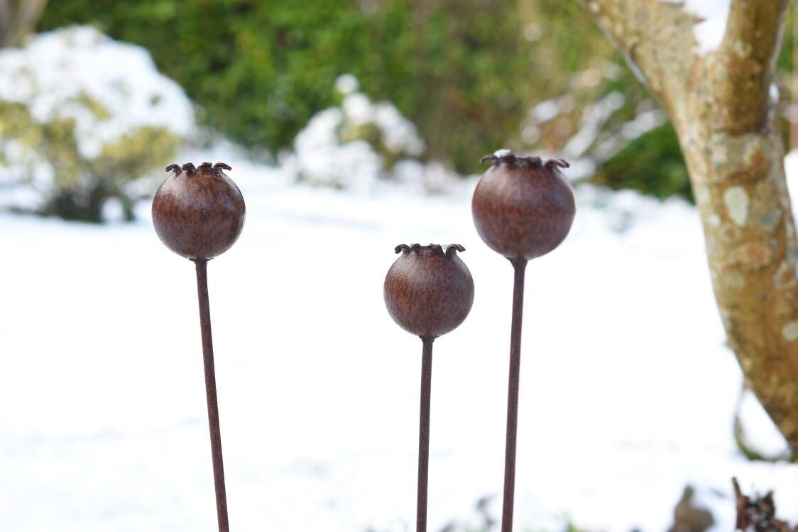 Rusty Metal Poppy Seedhead - Metal Garden Flower Sculpture - Garden Decor
