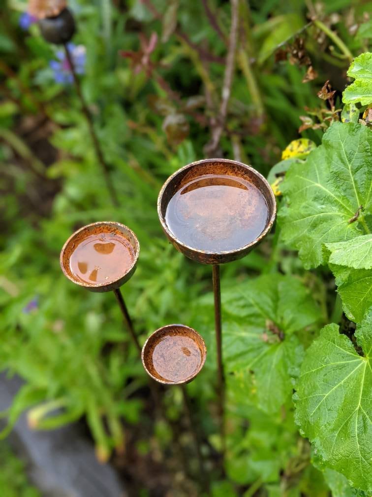 Rain Catcher | Plant Support | Rusts with Rain.
