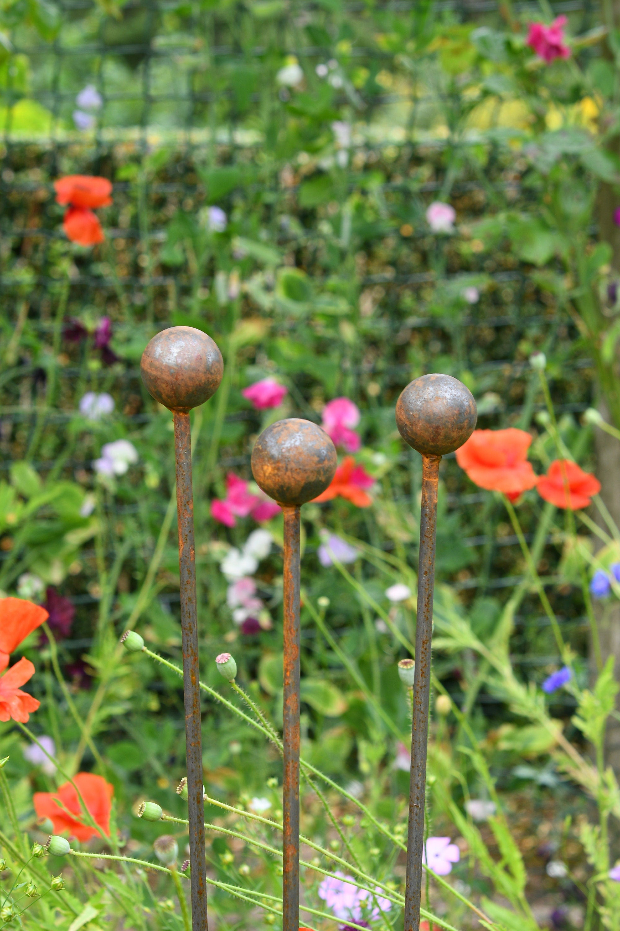 Plant Support Stakes