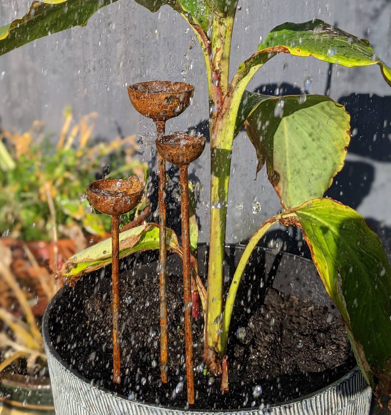 Small Rain Catcher Trio
