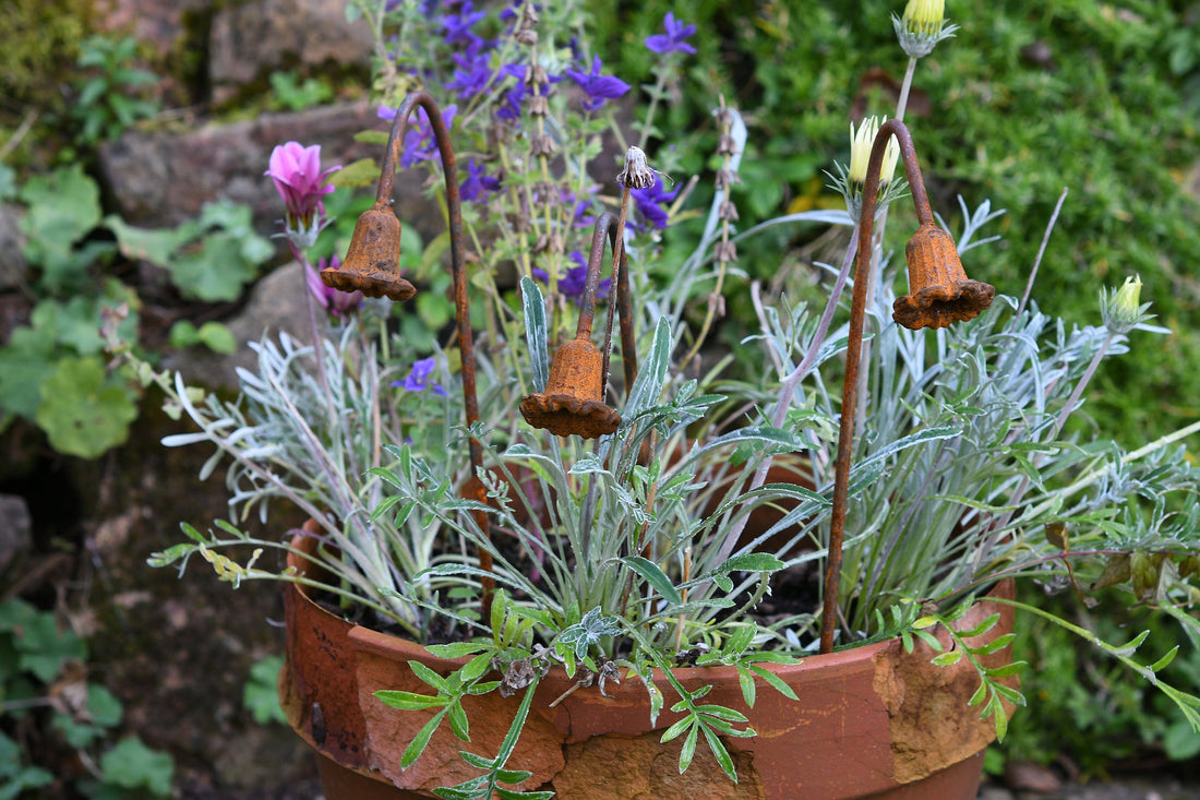 Metal Bluebells Garden Sculptures - Rusty Metal Garden Flowers