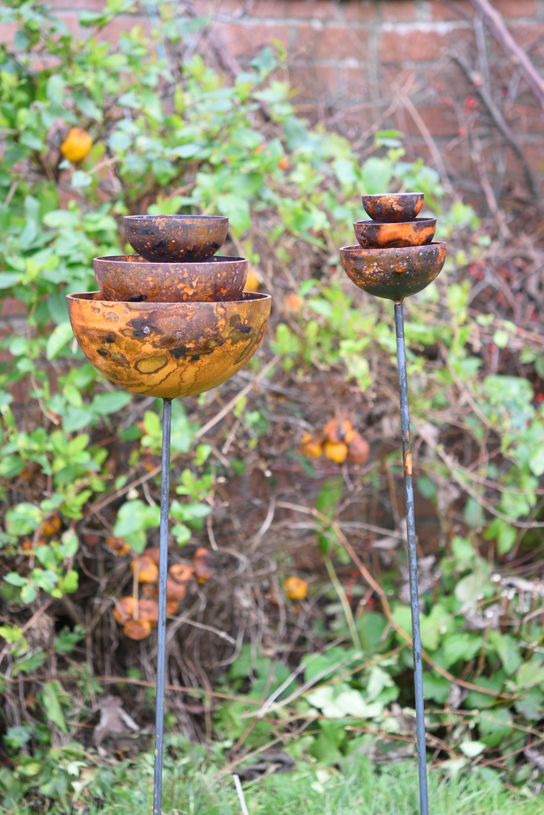 Rain Catcher Fountain Bundle