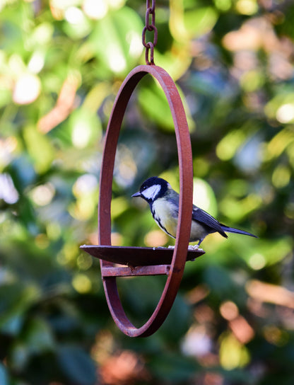 Hanging Bird Feeder Platform Ring