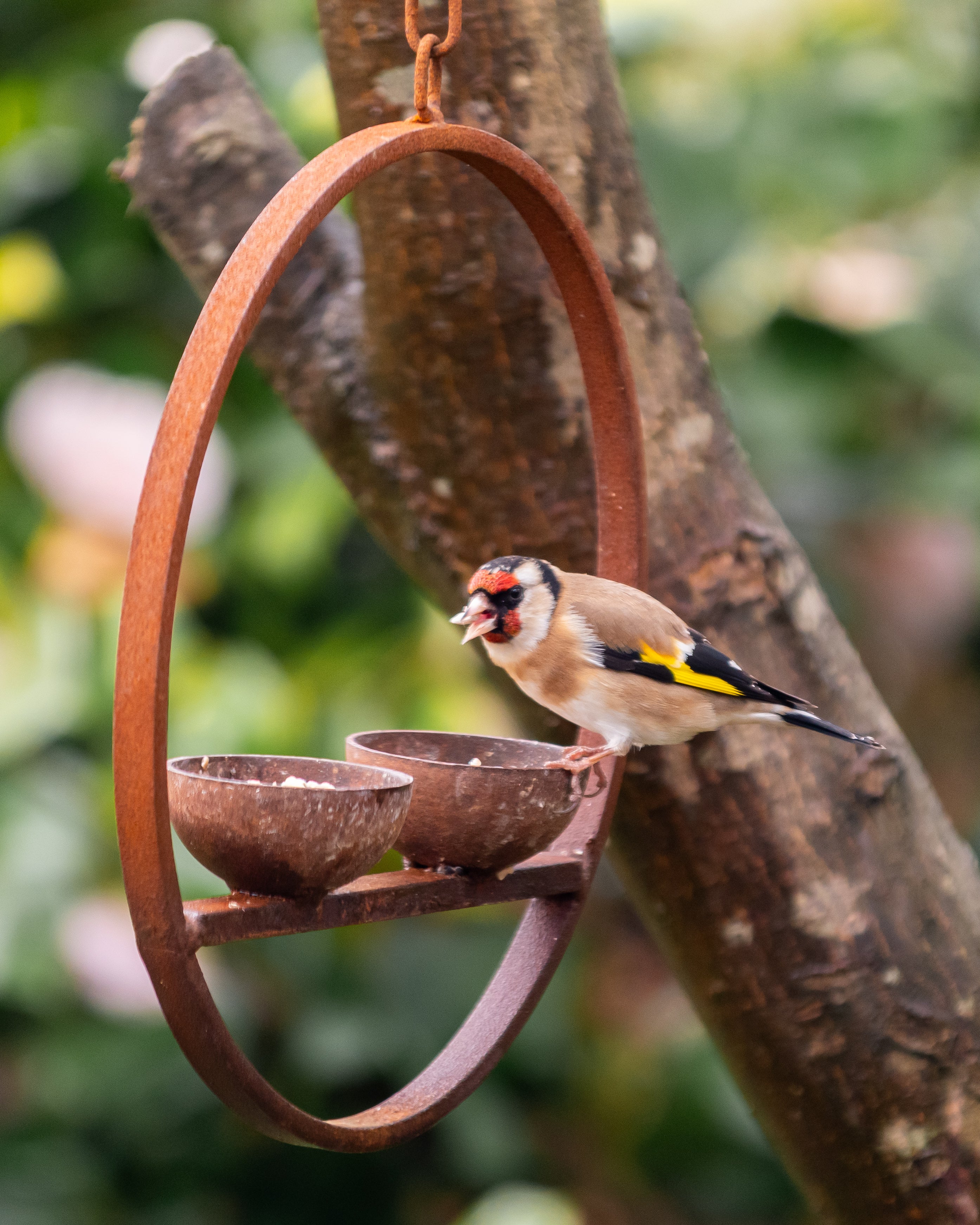 double metal hanging bird feeder