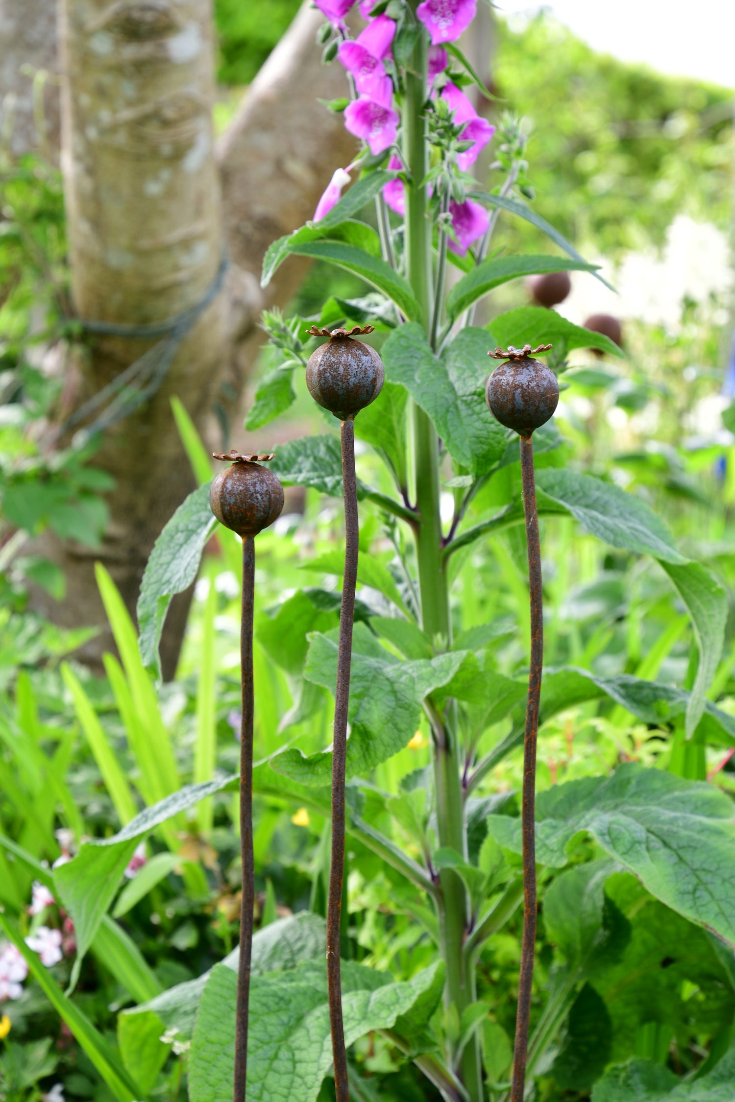 metal poppy seedheads