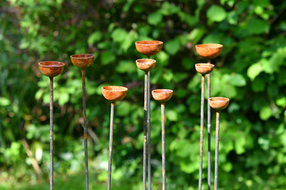 Rain Catcher Clusters