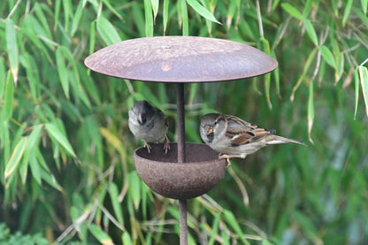 bird feeding pole