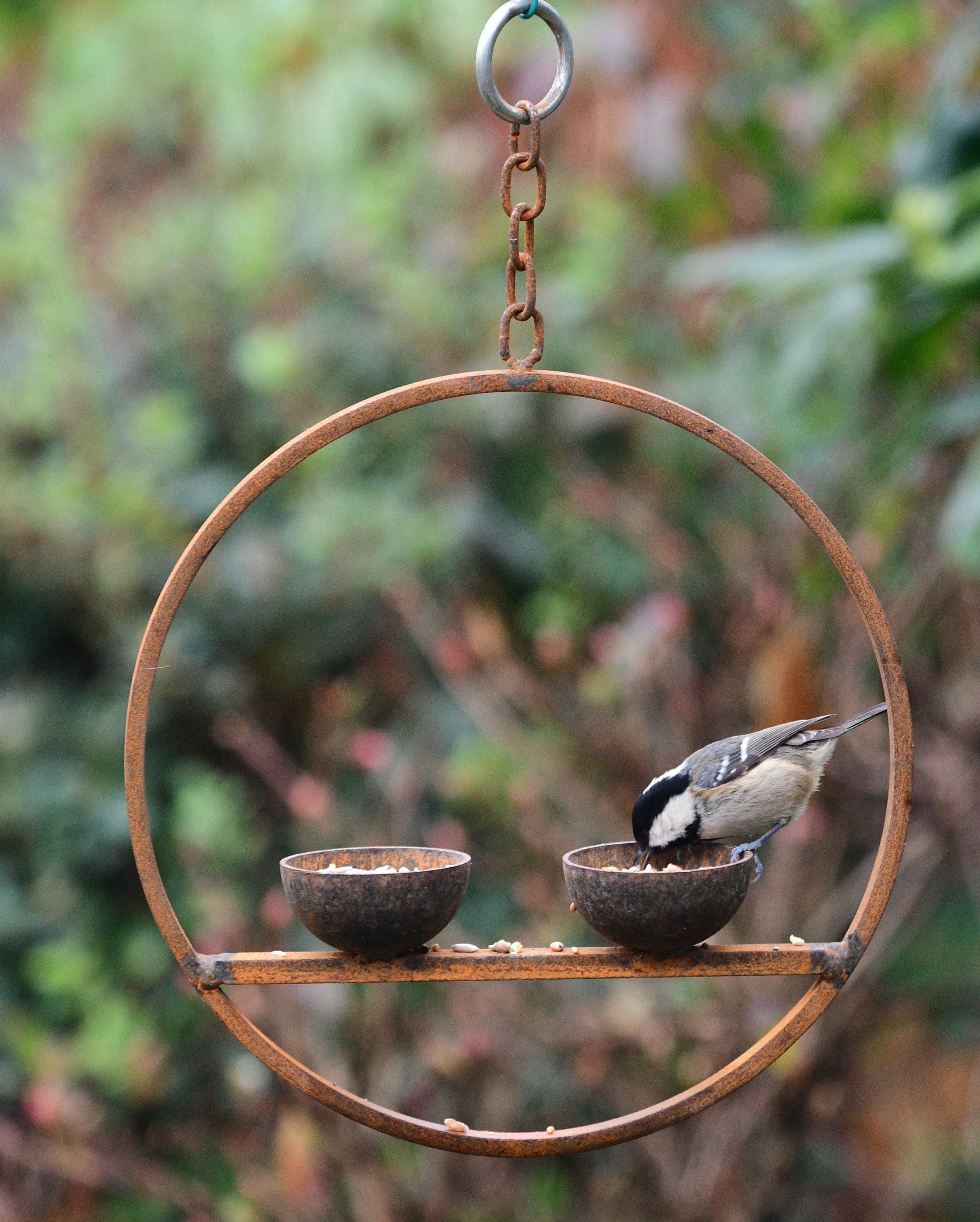 rusty metal hanging bird feeder